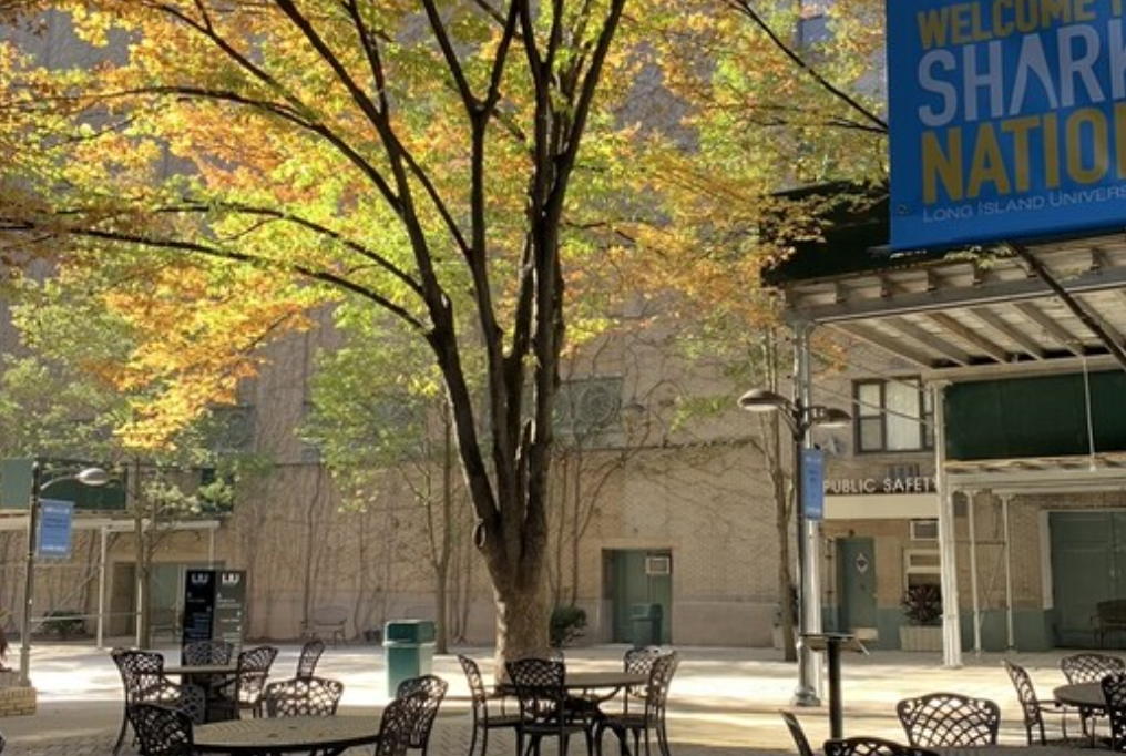 Students Plan on Staying On-Campus for Thanksgiving Break
