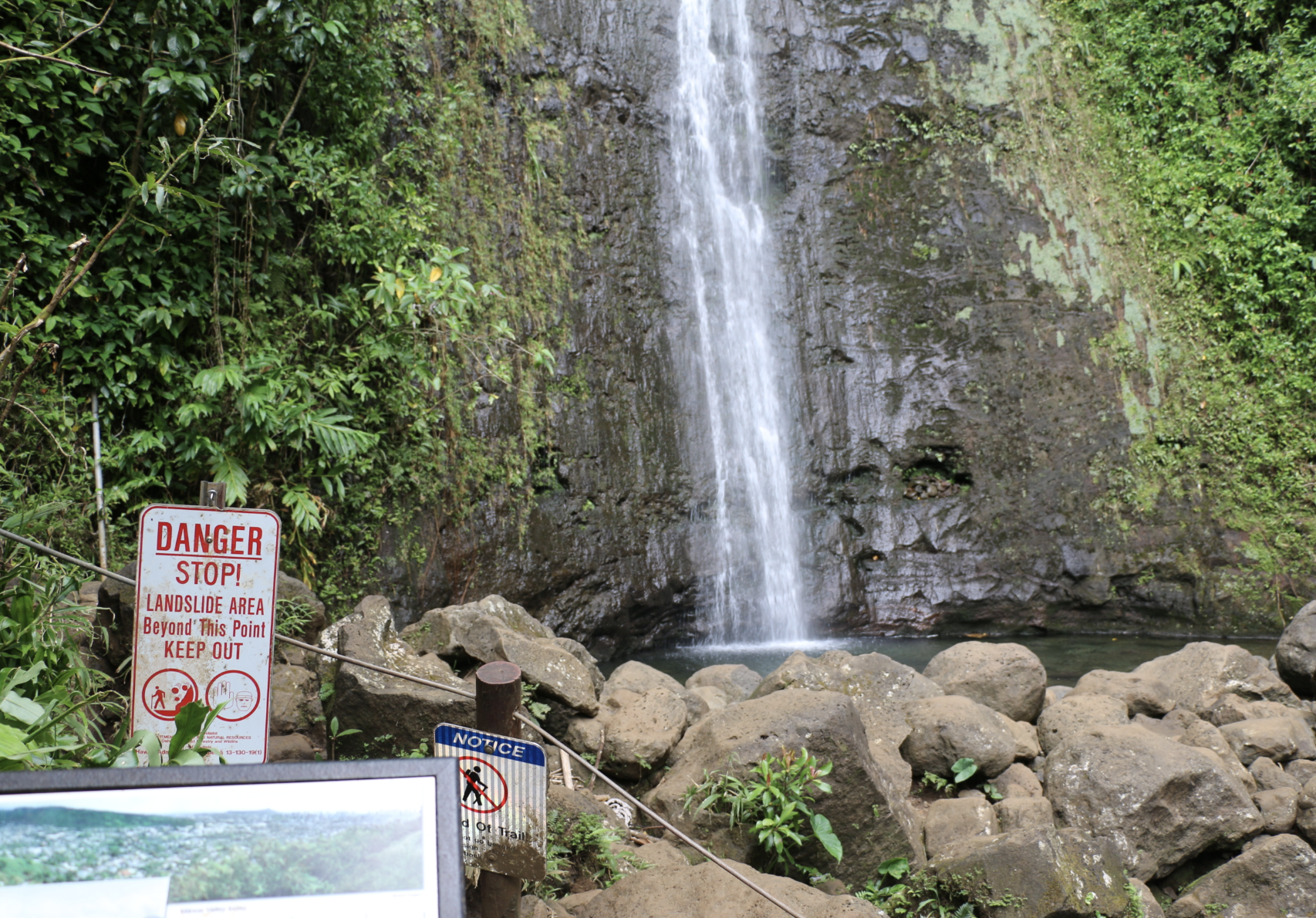 For the next 3 months, you’ll only be able to hike Manoa Falls Trail on the weekends