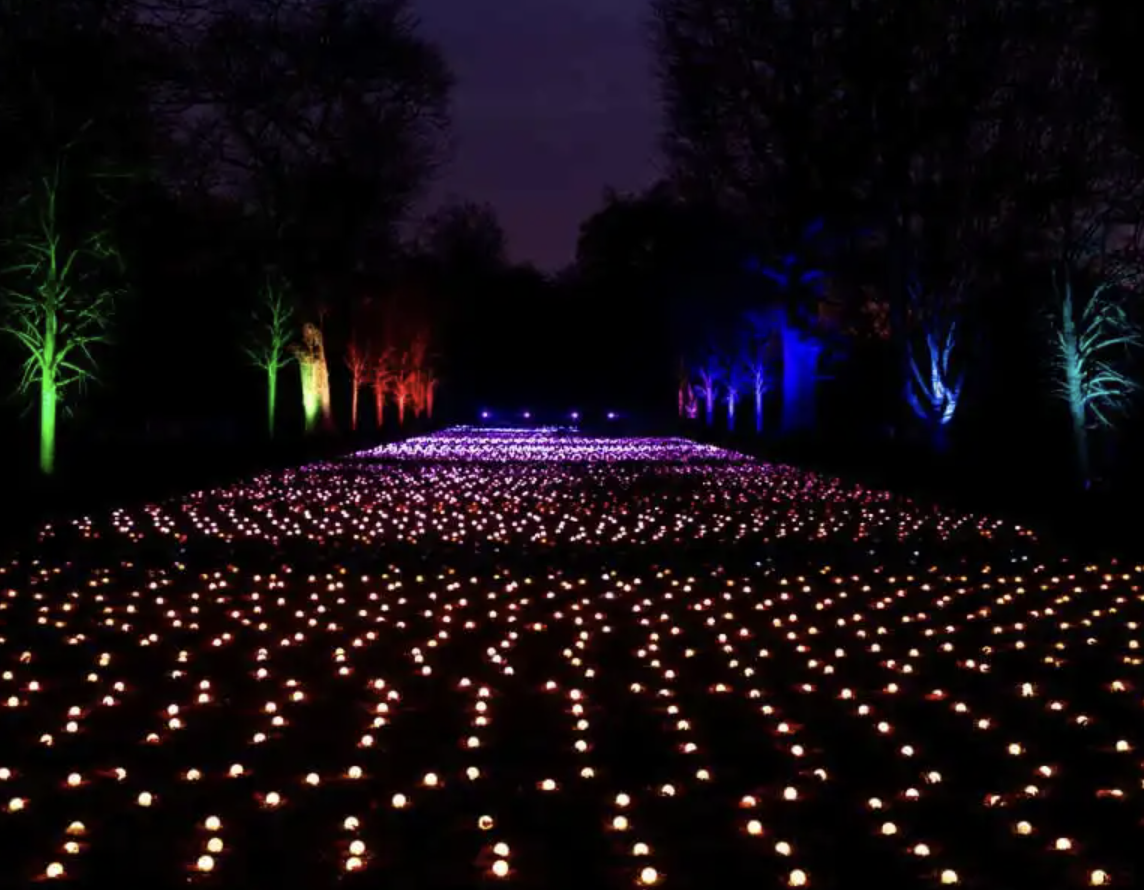 Botanic Garden announces winter Lightscape exhibit