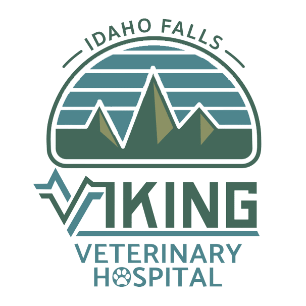 Viking Veterinary Hospital On-Call