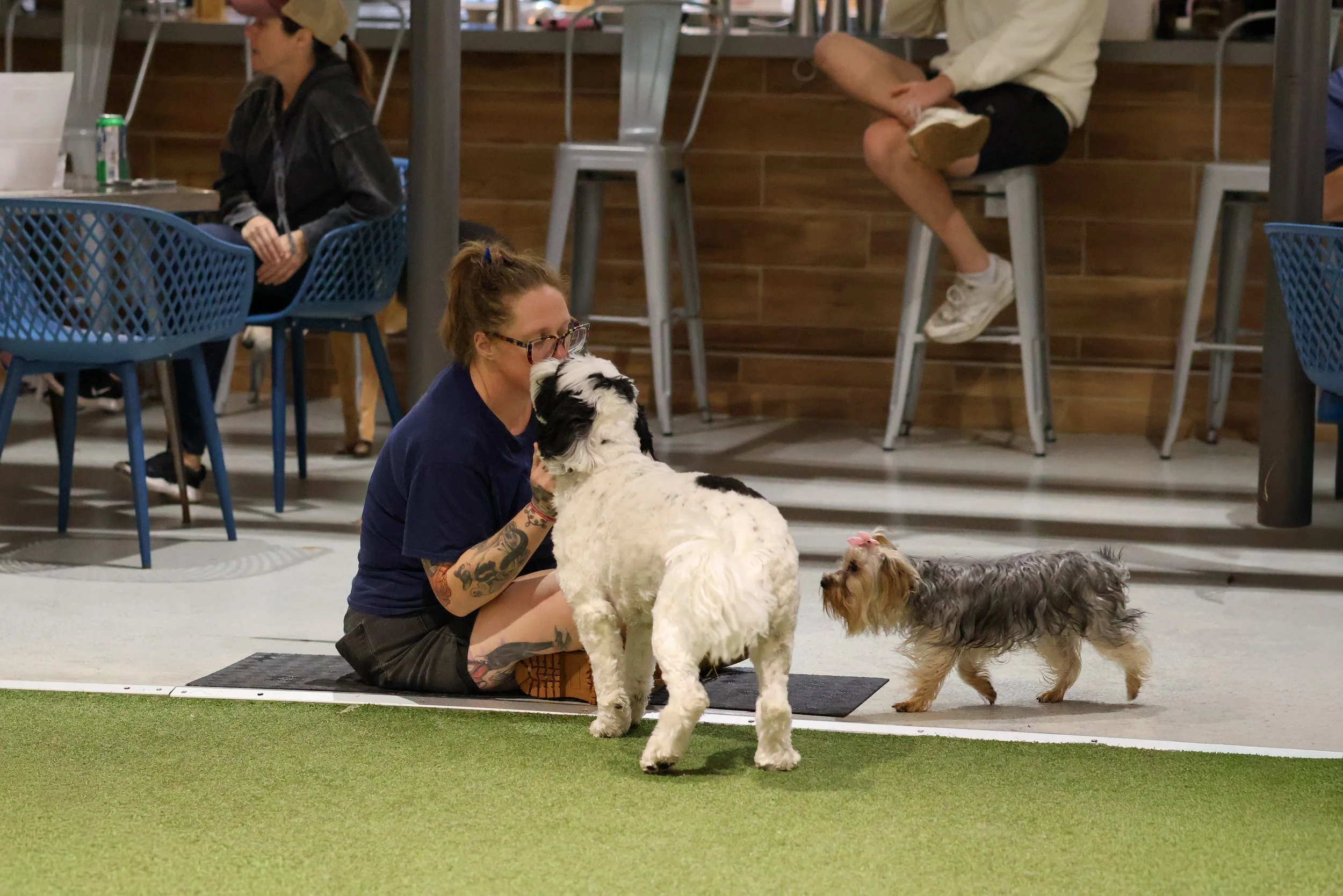 West St. Dog Park & Bar