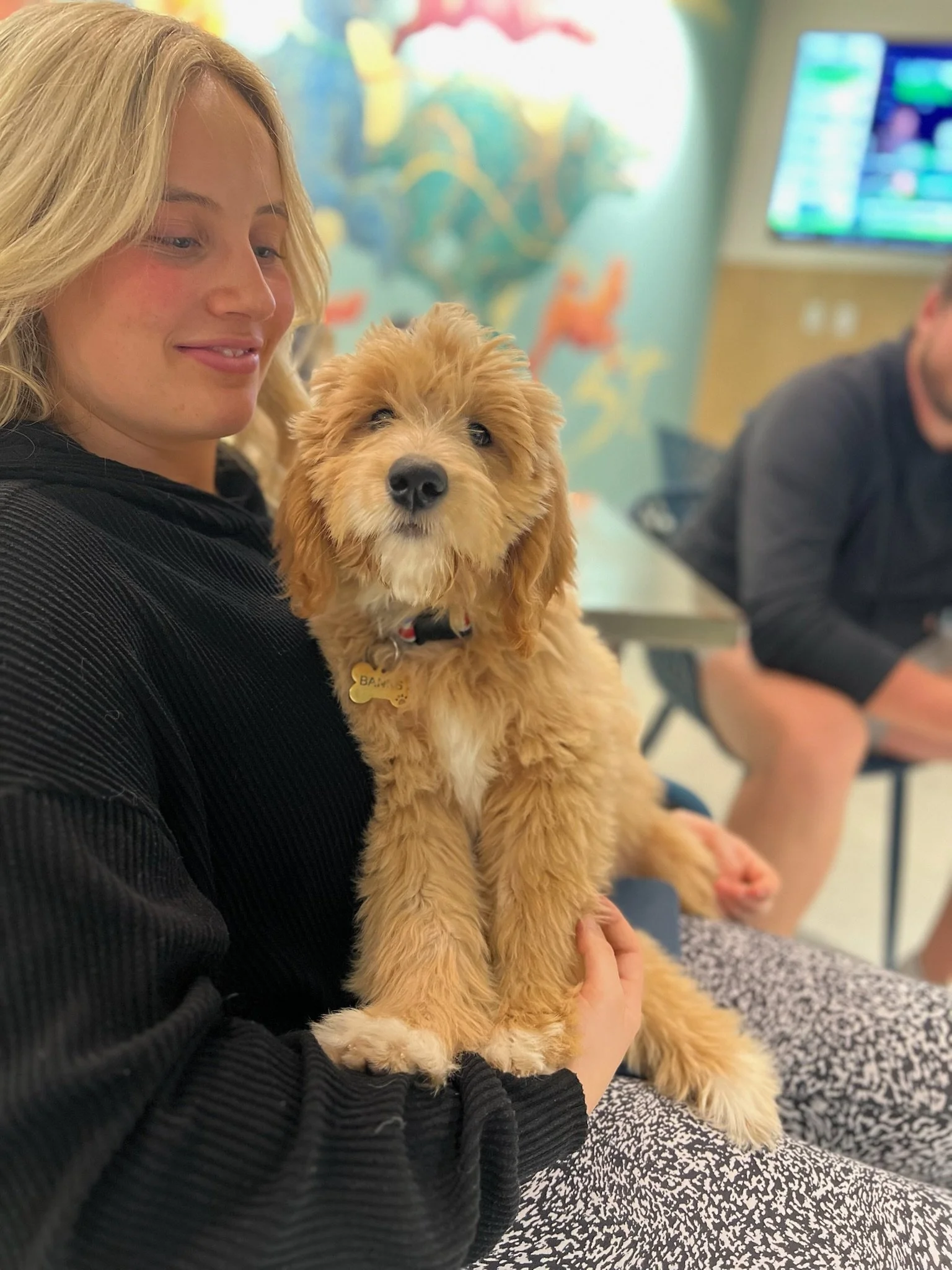 I am so cute! - West St. Dog