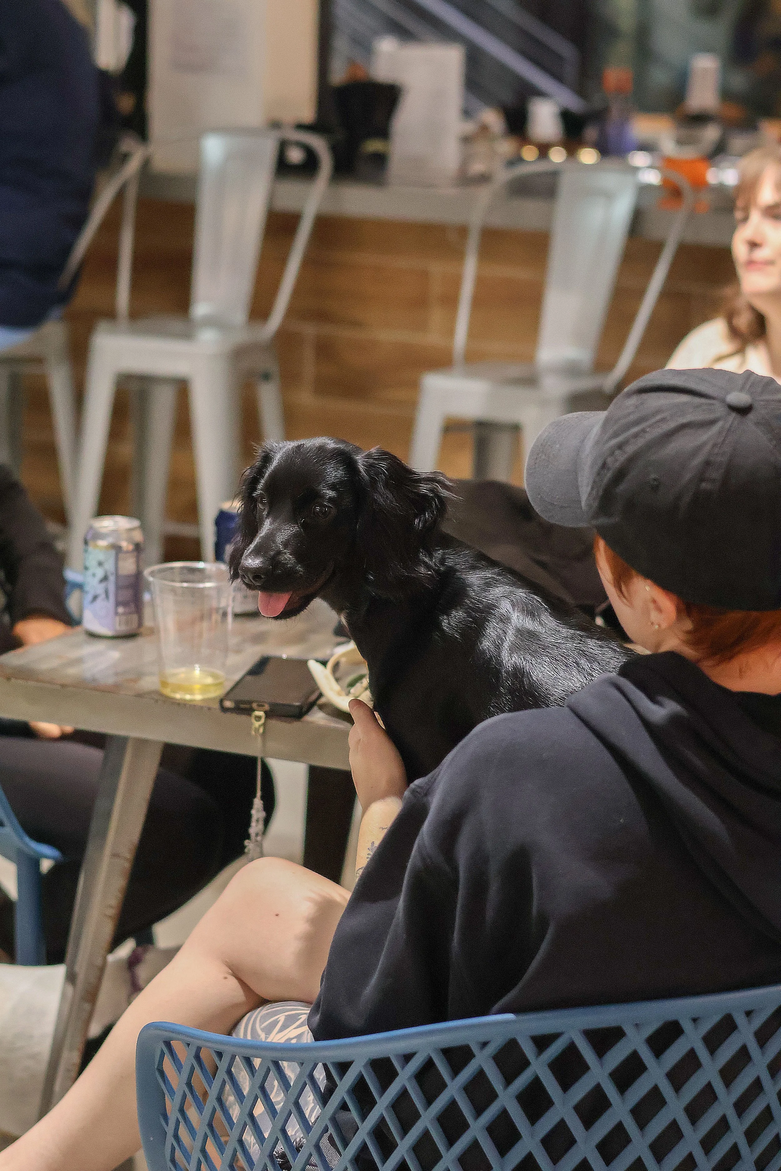 West St. Dog Park & Bar