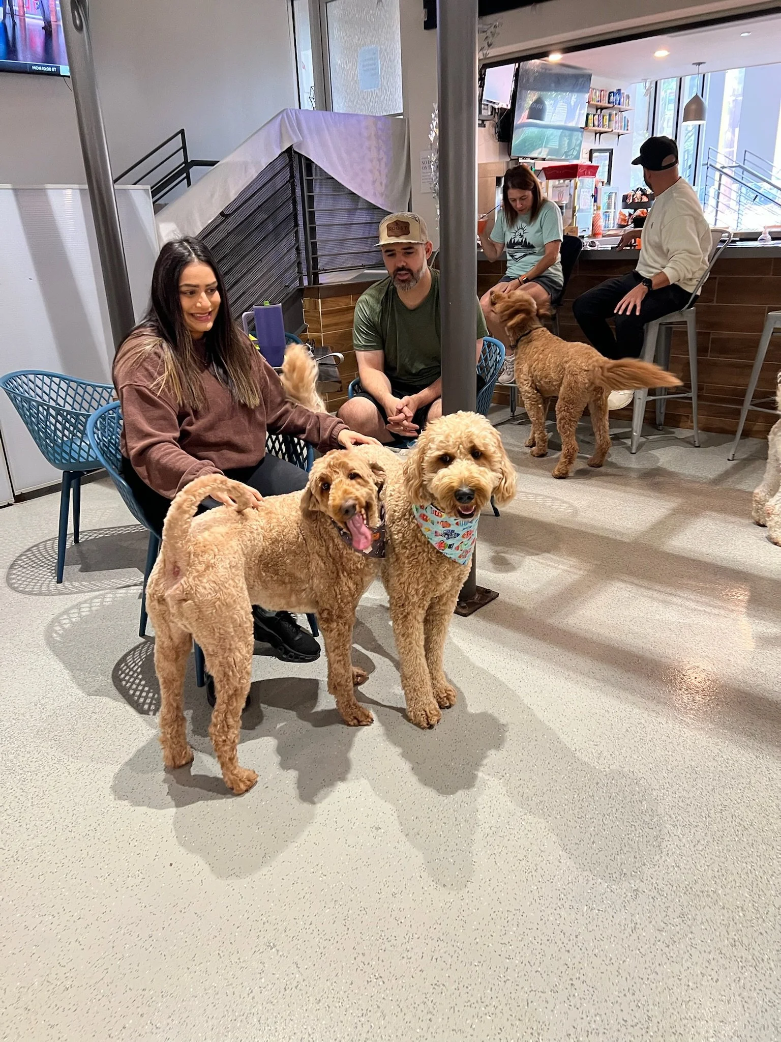 West St. Dog Park & Bar