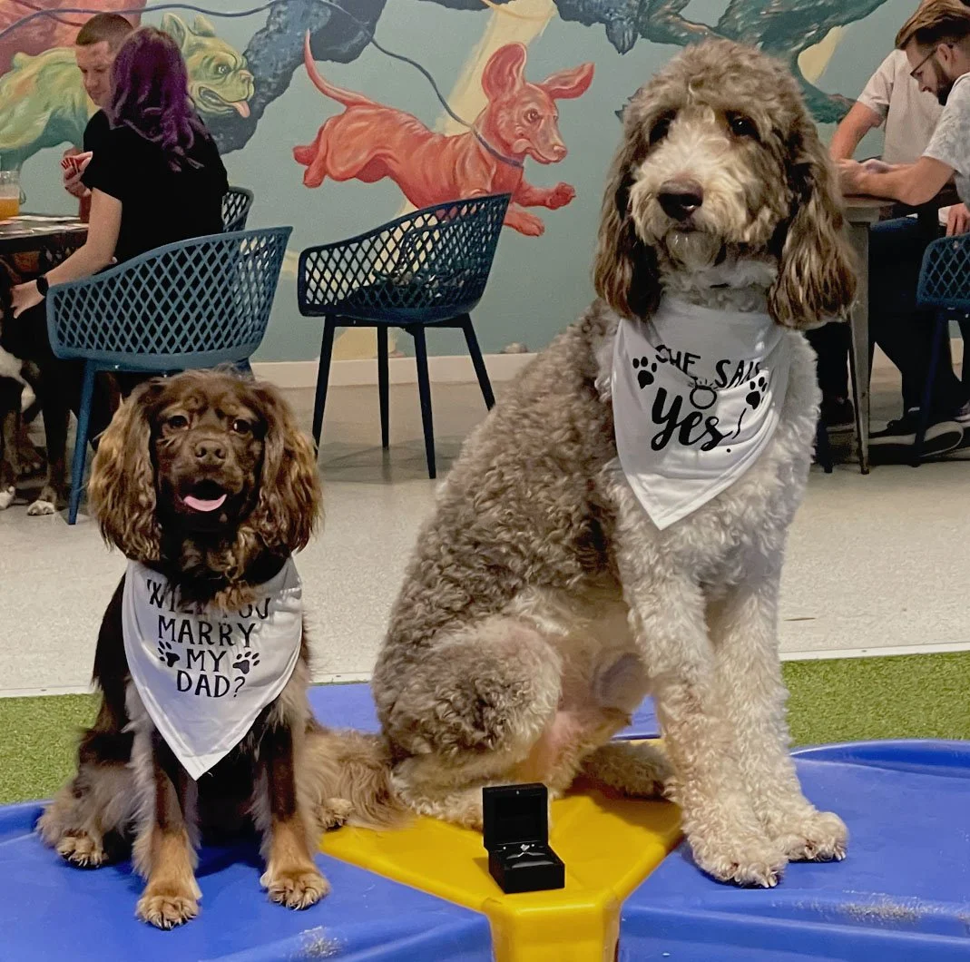 Marry Me! - West St. Dog