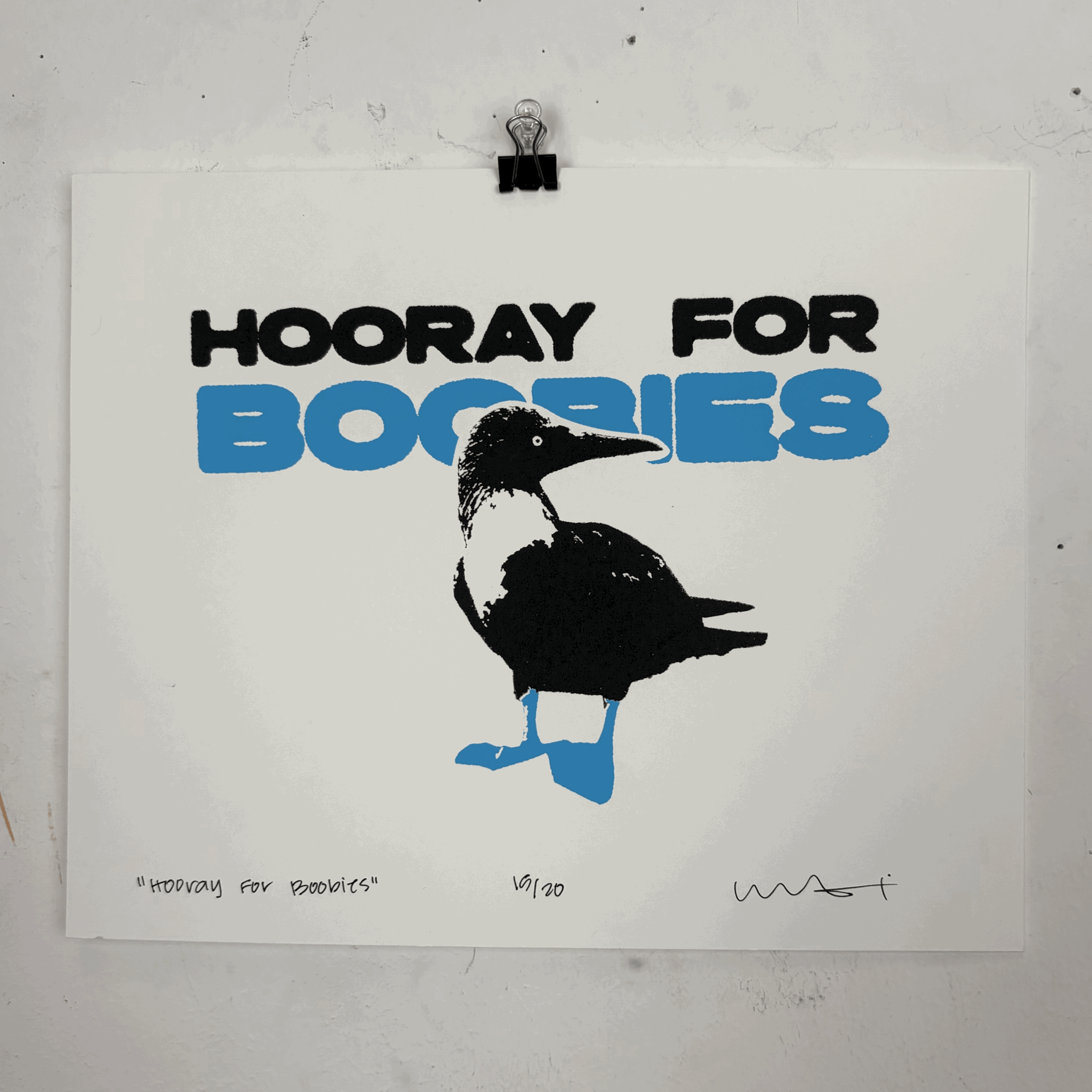 Hooray For Boobies