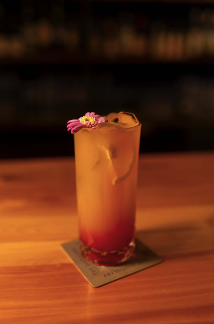 Colorful layered cocktail in a tall glass garnished with a pink flower on a wooden bar counter.