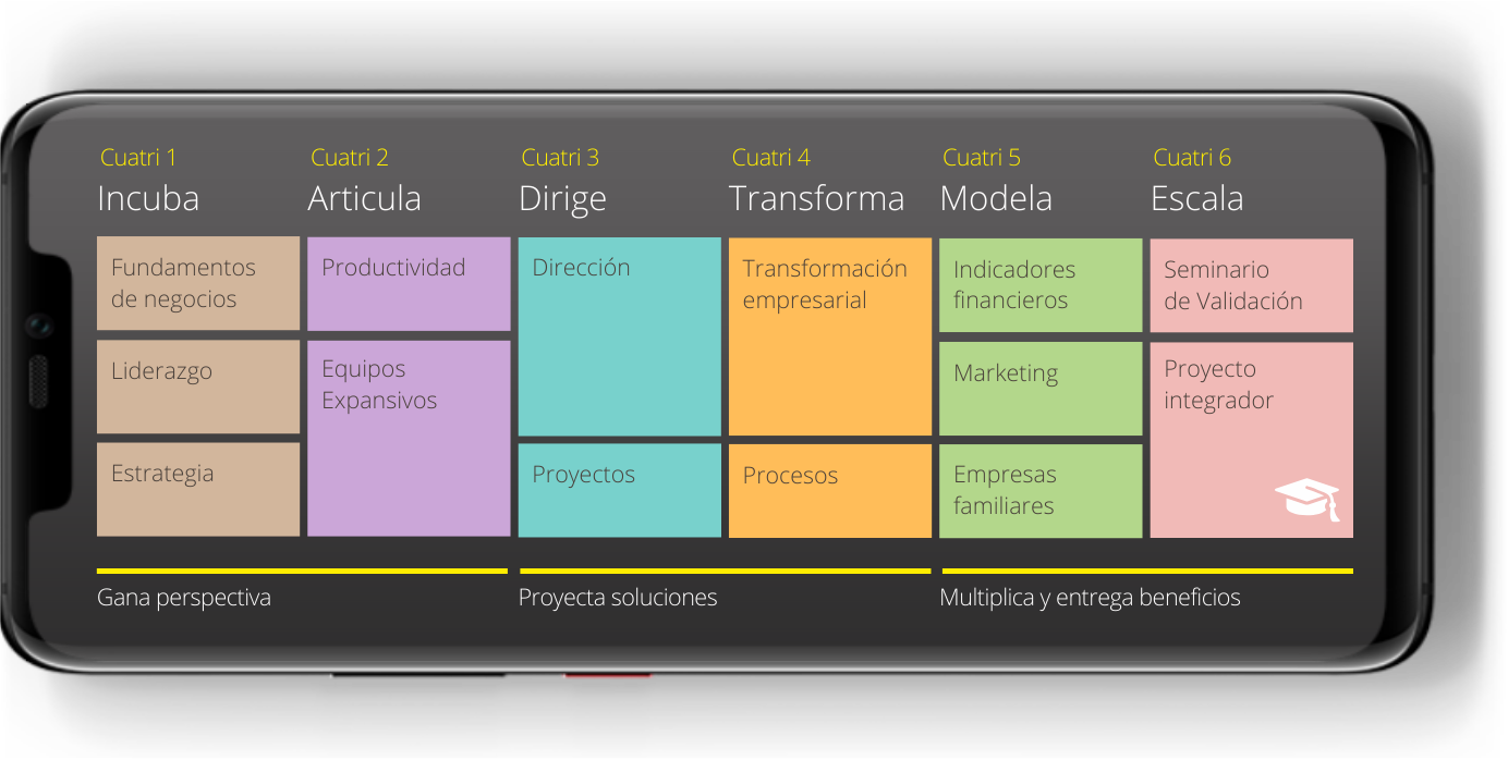 Programa MBA