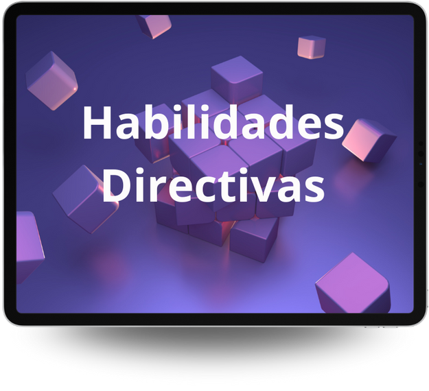 curso habilidades directivas