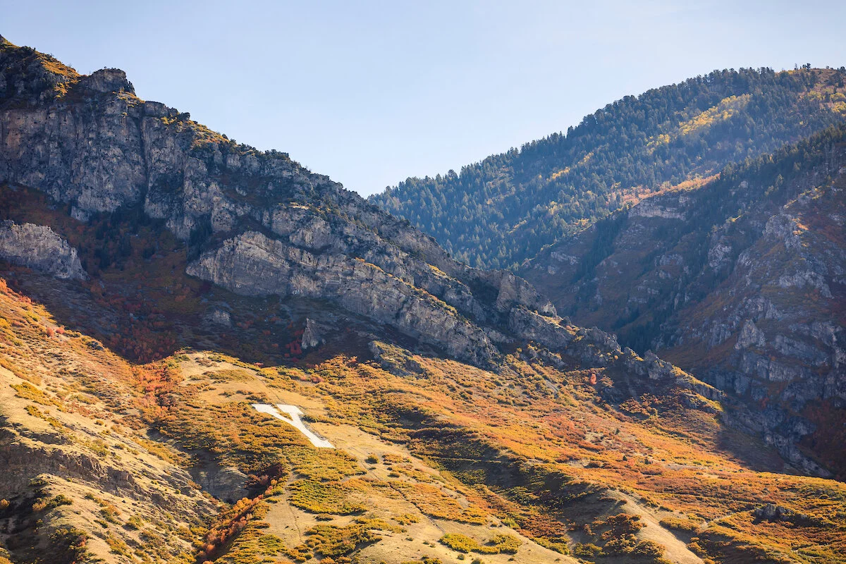 1710-39 0010 (1).jpg