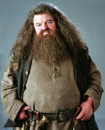 “You’re a Wizard Harry!” No Hagrid, I’m a Brand!