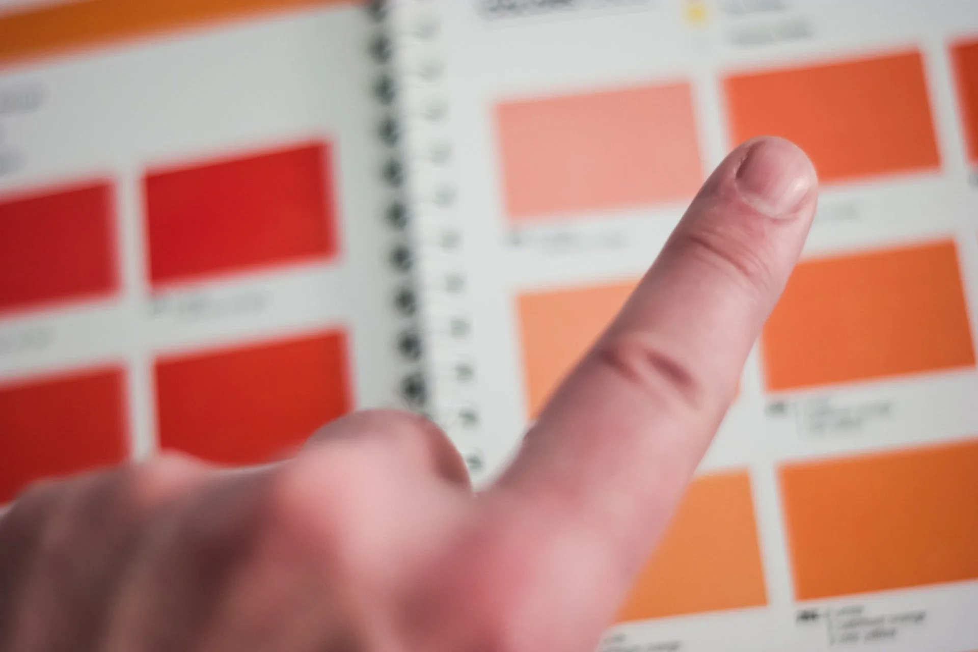 Unlocking the Power of Segmentation