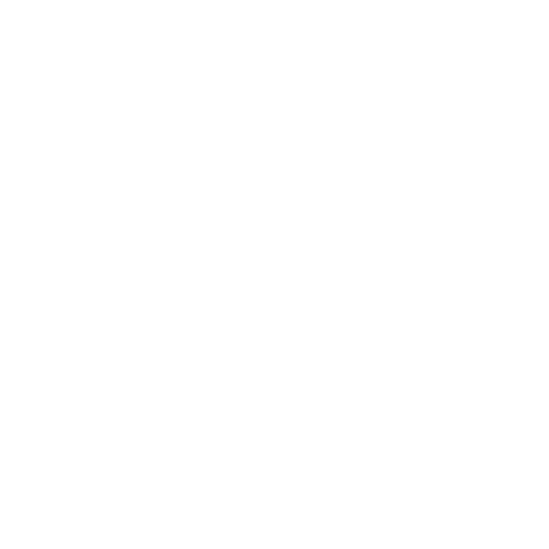 blueravensolarwhite-02.png