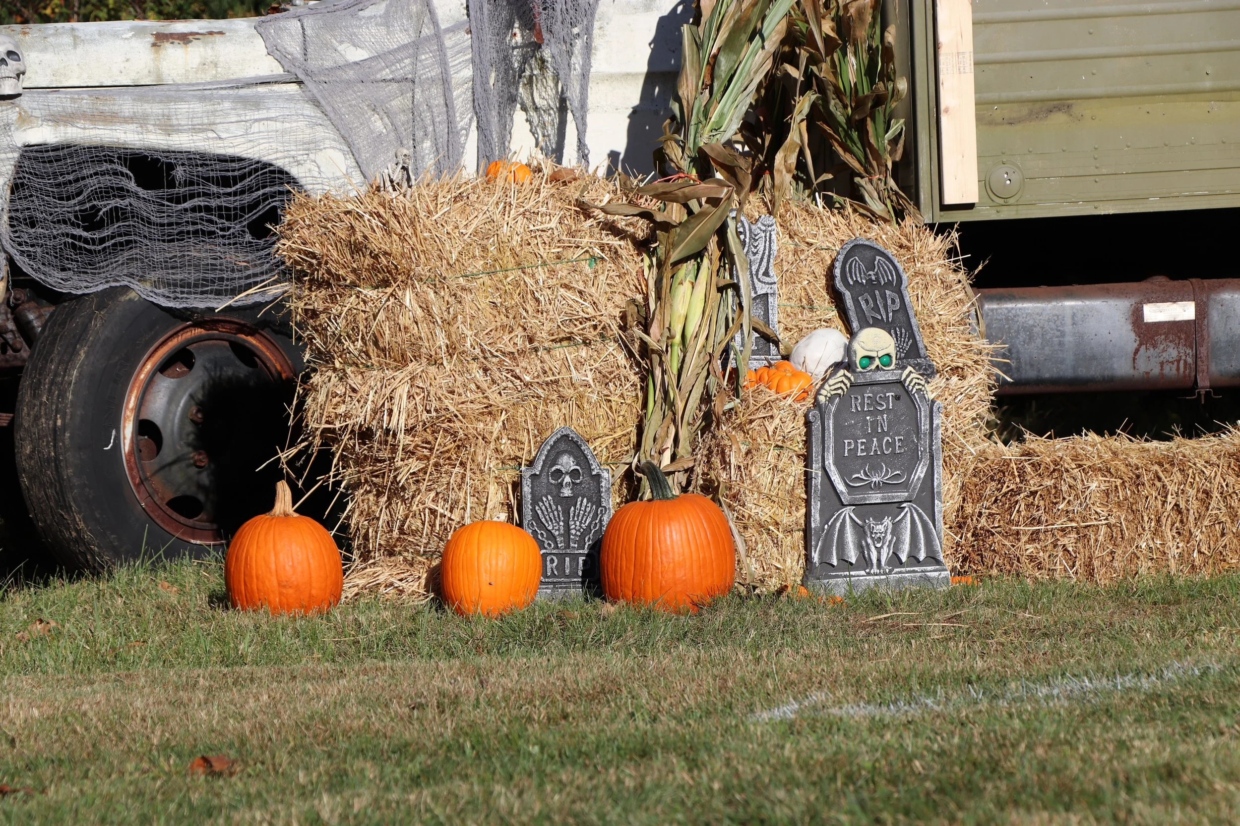 The Scariest thing in marketing this month isn’t halloween. it’s playing it safe