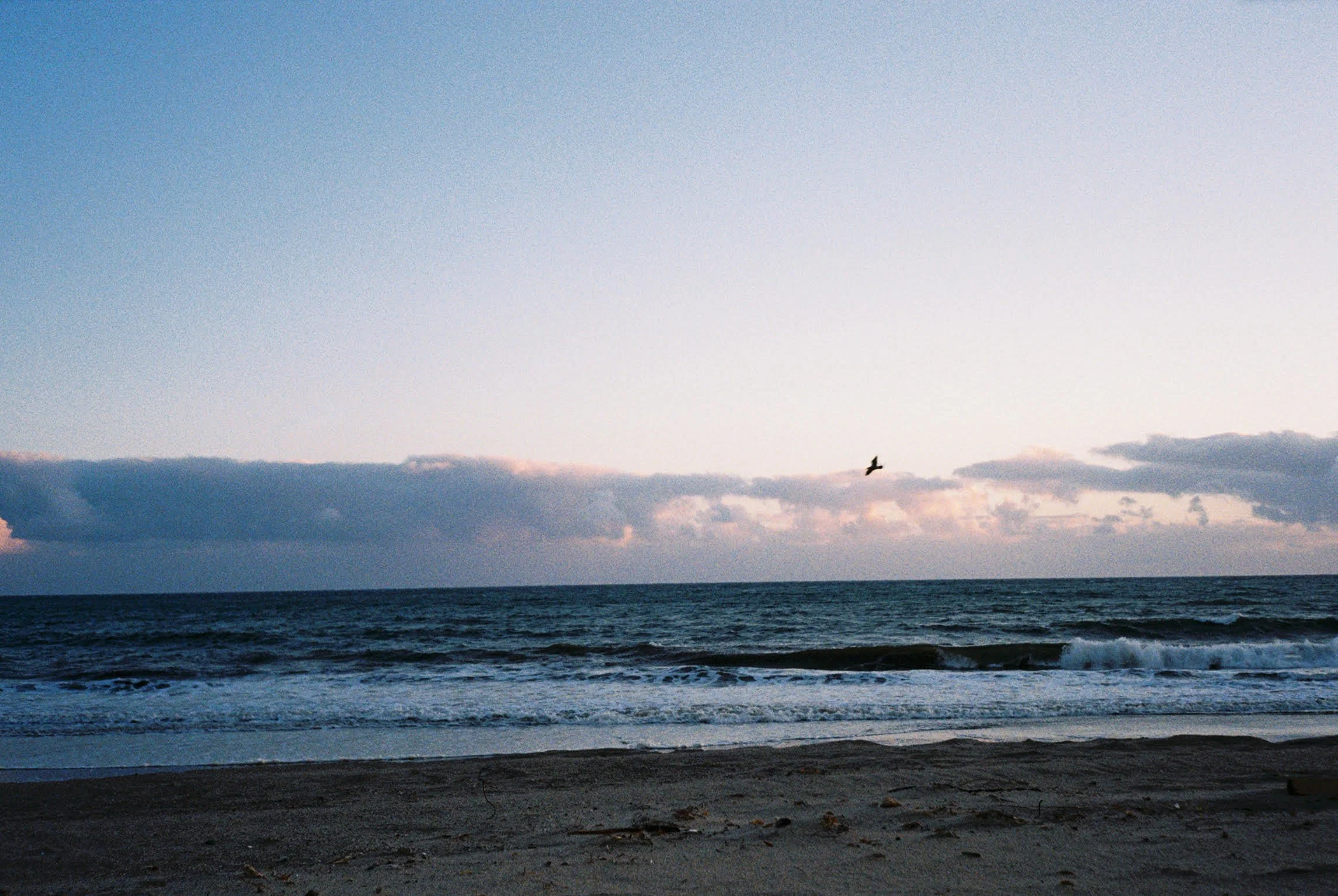 portfolio photo_2.jpg