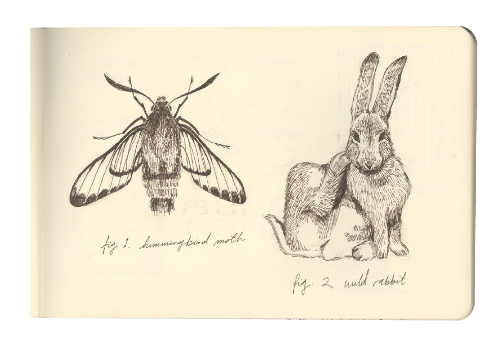 sketchbooks scans-06.png
