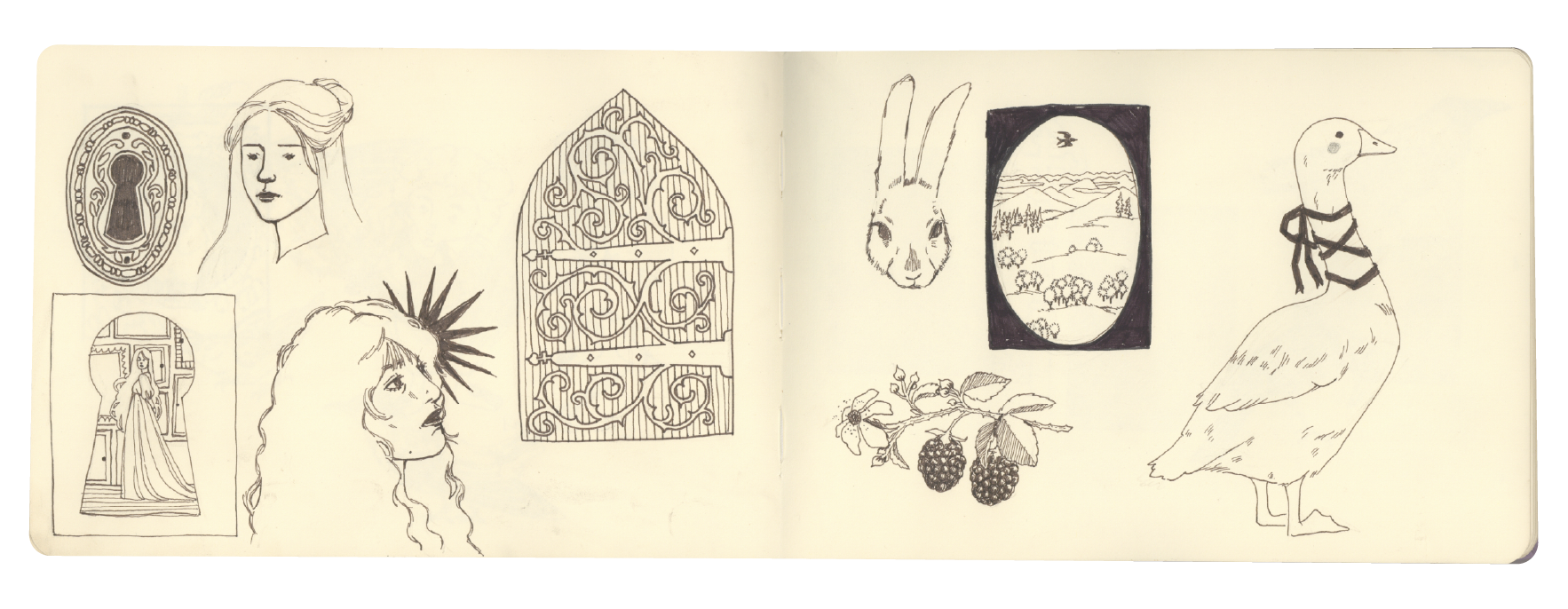 sketchbooks scans-11.png