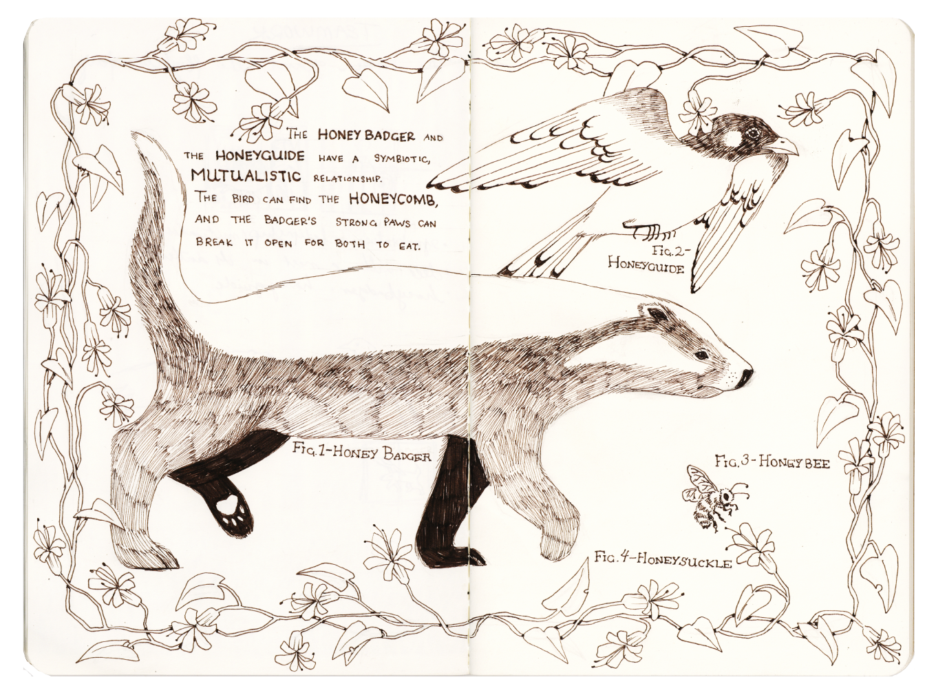 sketchbooks scans-03.png