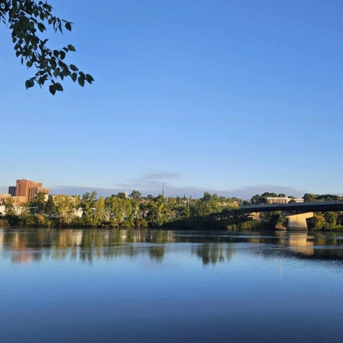 A calm river with a cityscape and bridge in the distance under a clear blue sky, with some foliage in the foreground.