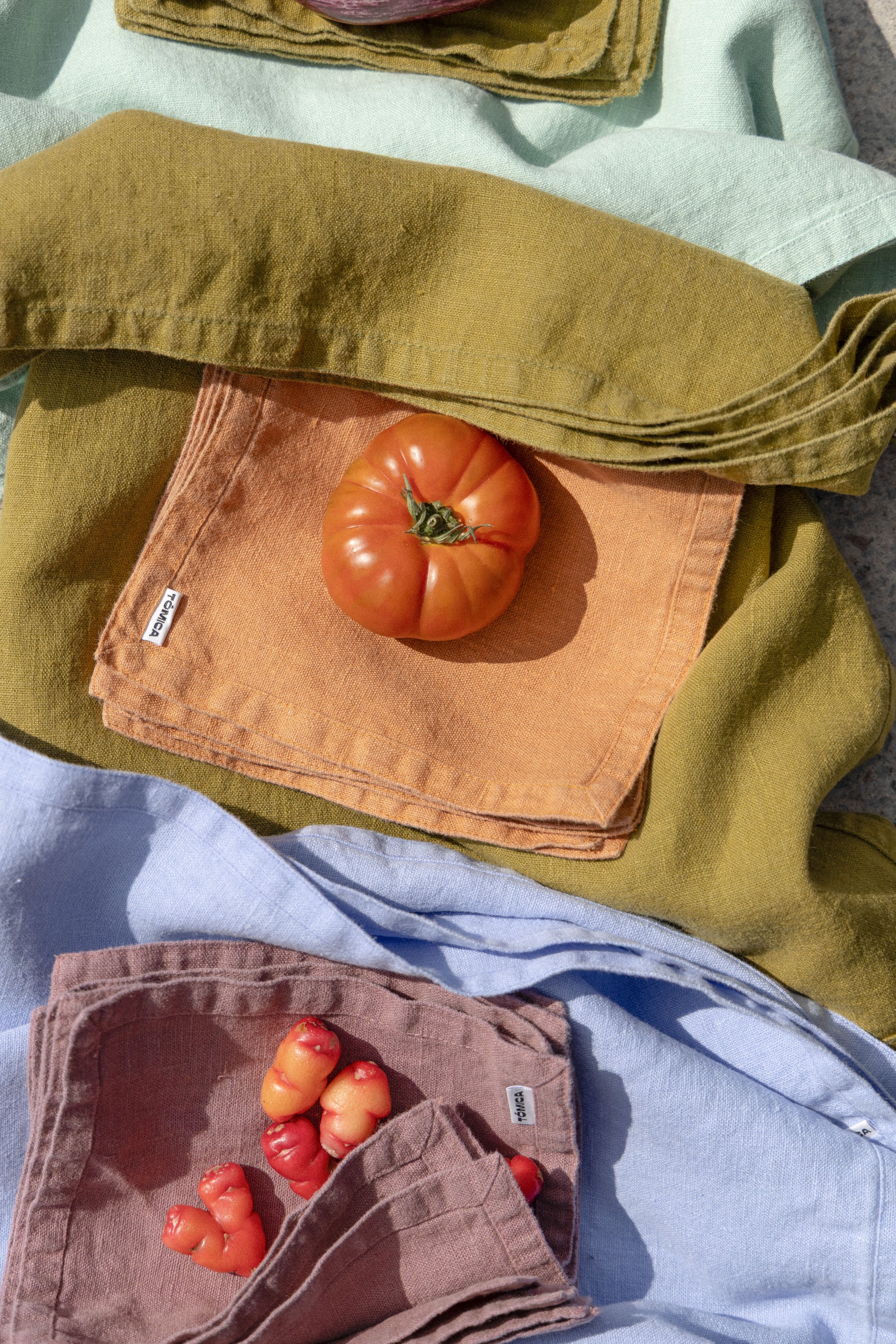 TÓMICA_PRIMERASELECCION_RosaPeralta-159-3 copia.jpg