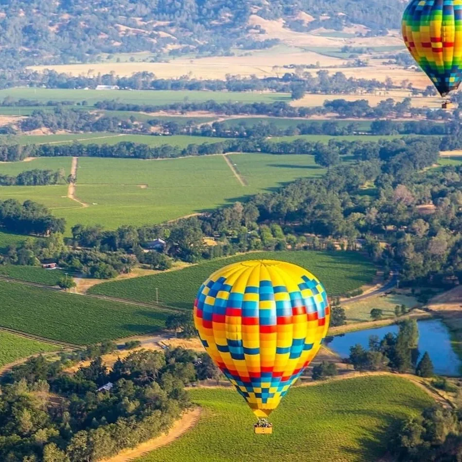 Colorful hot air balloons floating over the lush Napa Valley landscape of beautiful vineyards.