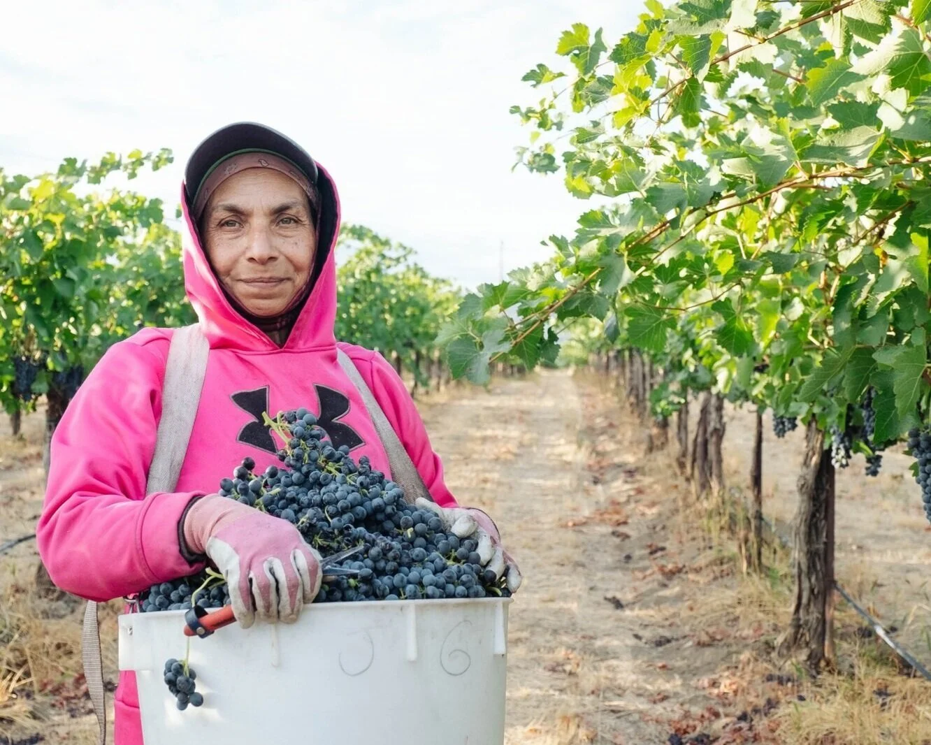 Health Advocacy Reaches Workers in the Vineyard