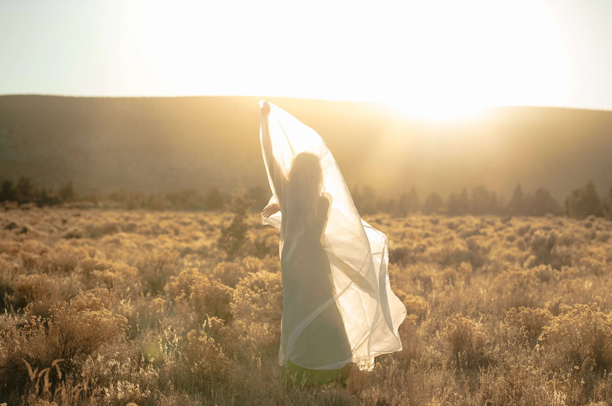 A woman standing in a field of yellow flowers at sunset, holding a sheer fabric above her head.