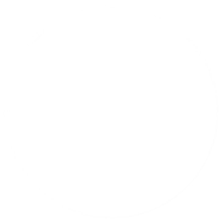 A black circle with a white border surrounding it.