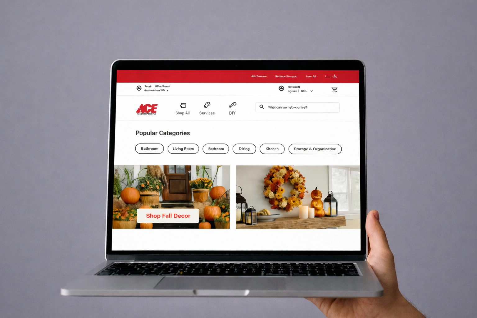 Ace Hardware DIY Feature