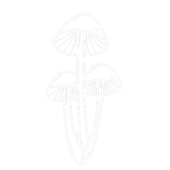 Line drawing of three mushrooms on a black background.