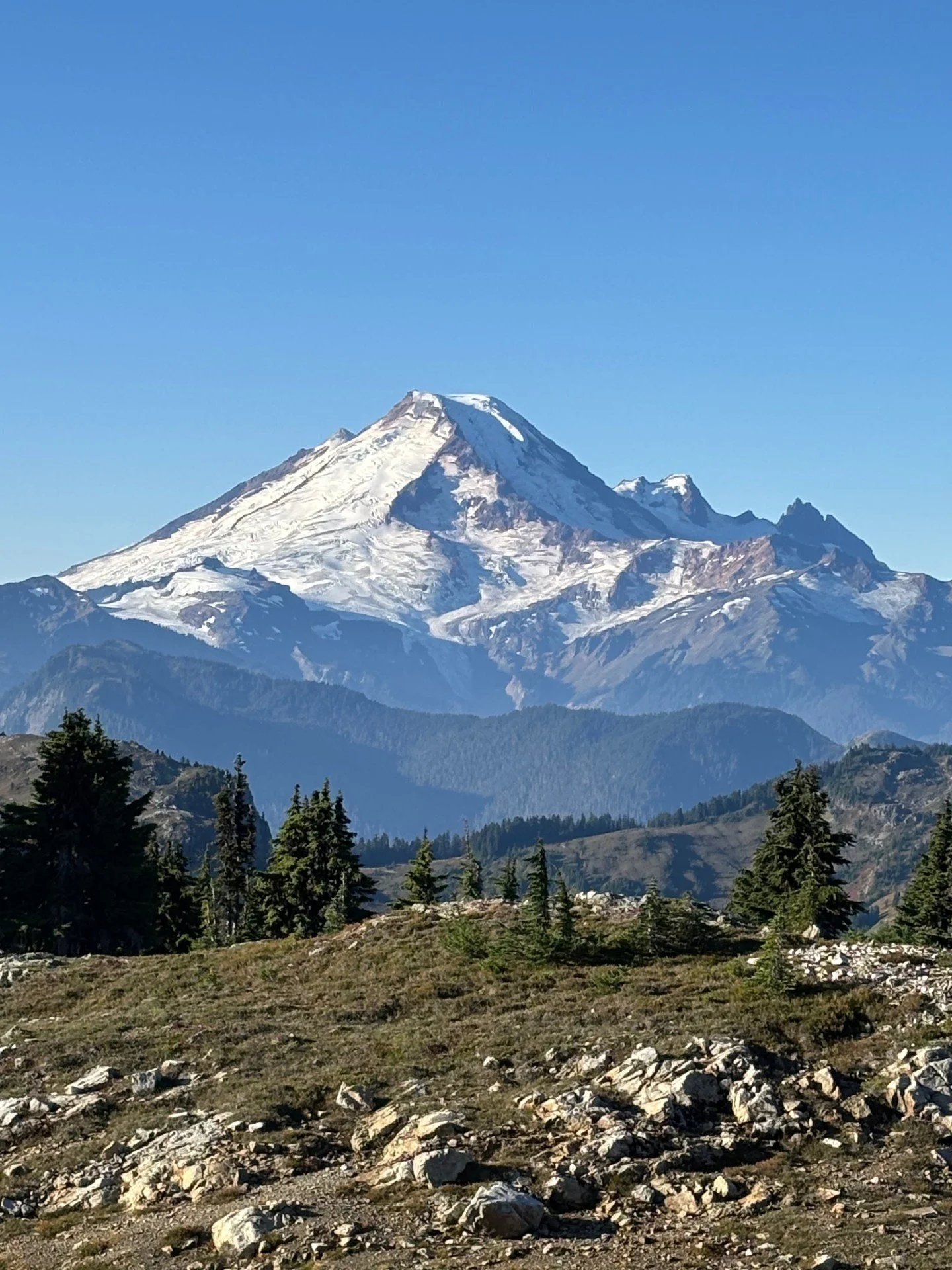 Snow-capped Mount Rainier with a clear blue sky, surrounded by green forests and rocky terrain in the foreground.
