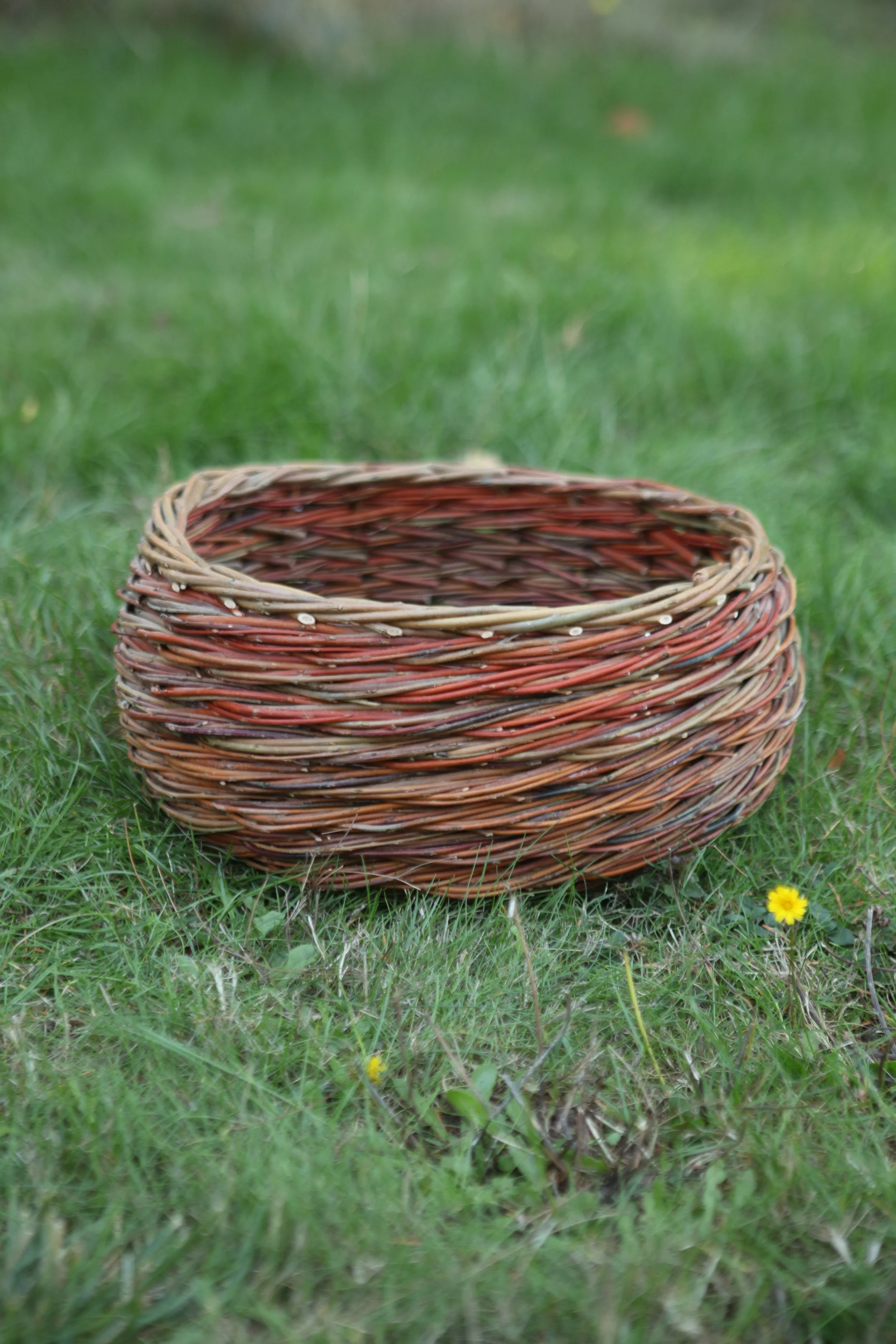 Round Belly Basket 007