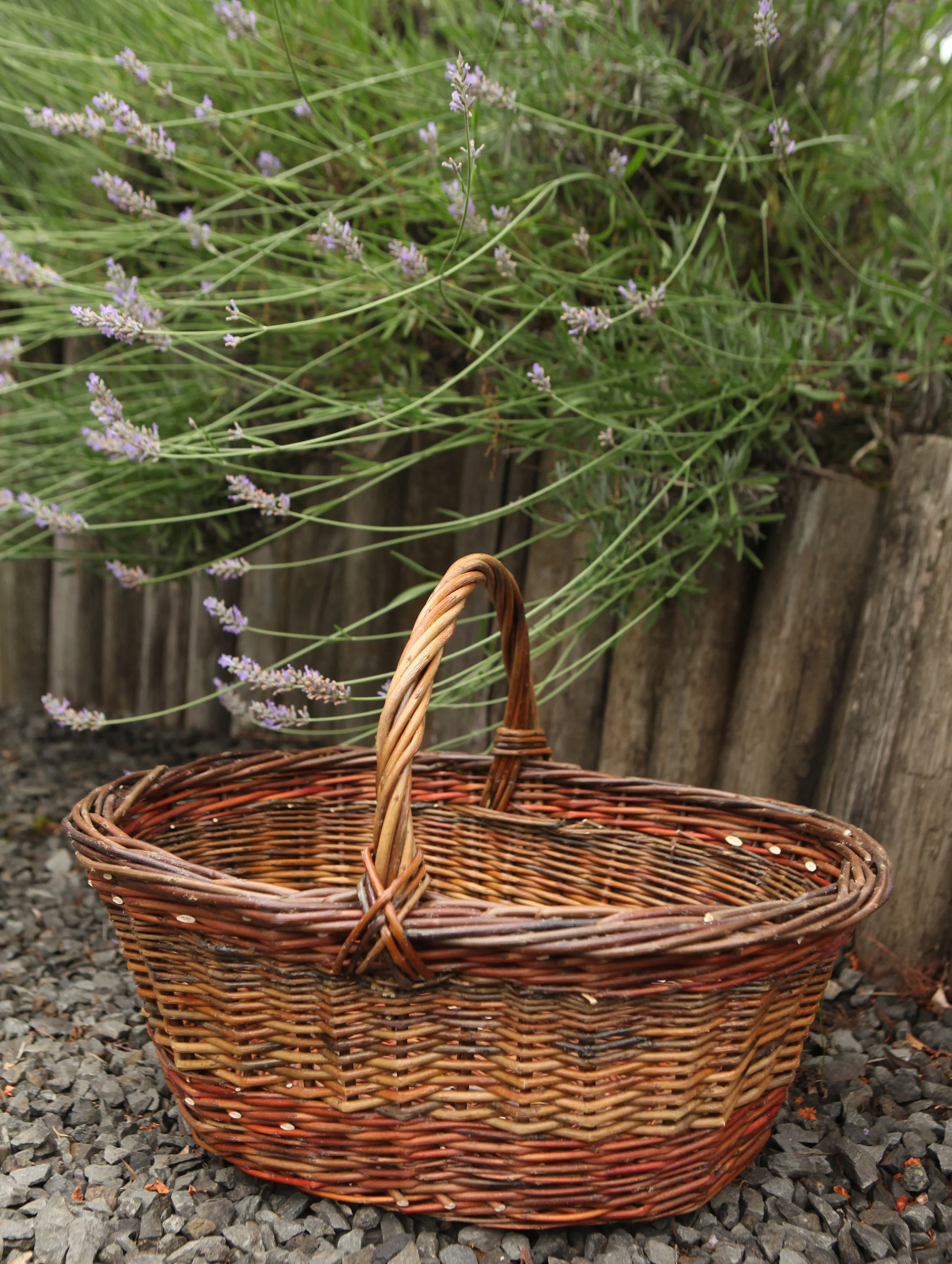 Oval Harvest Basket 030