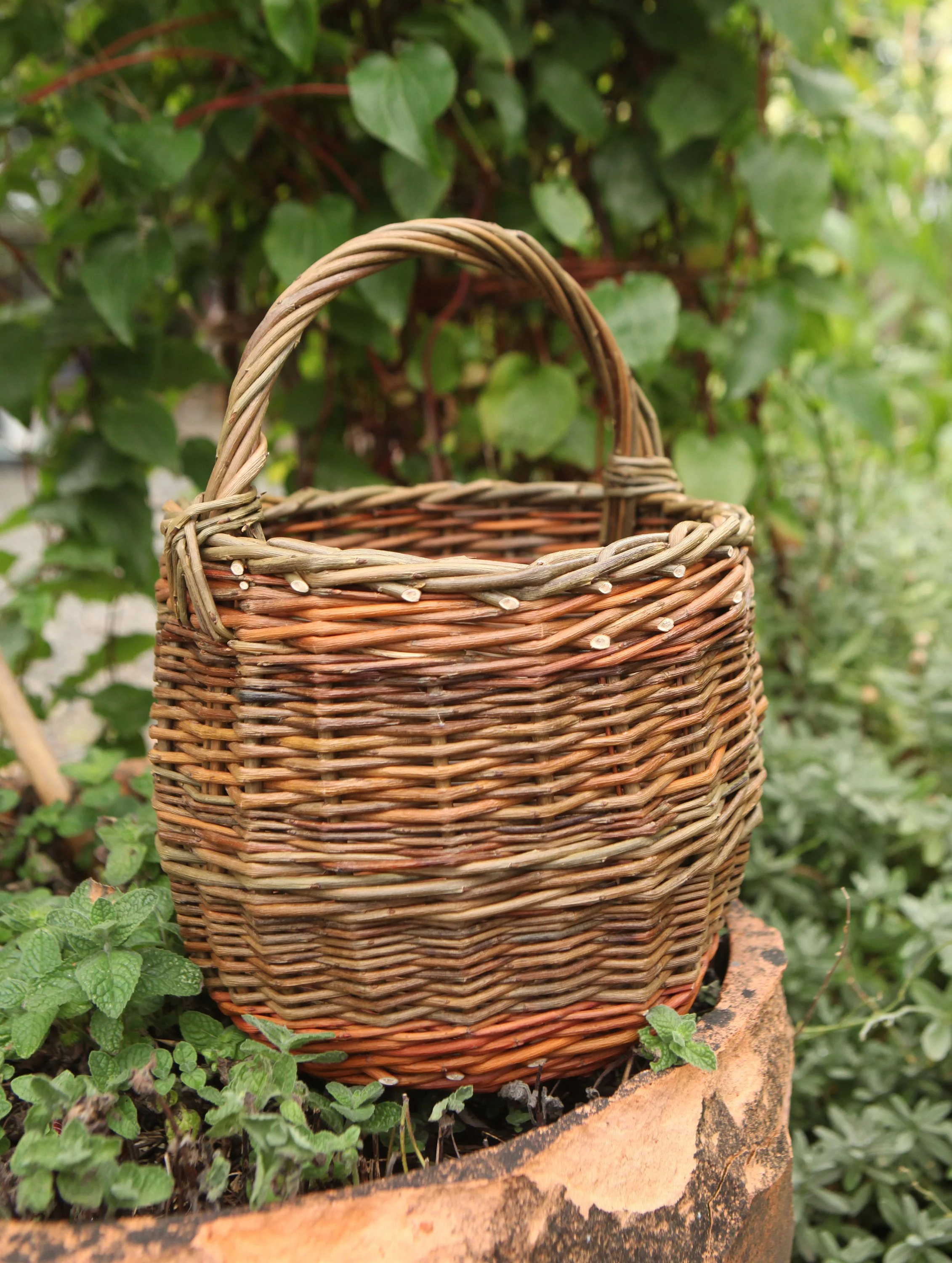 Berry Basket 027