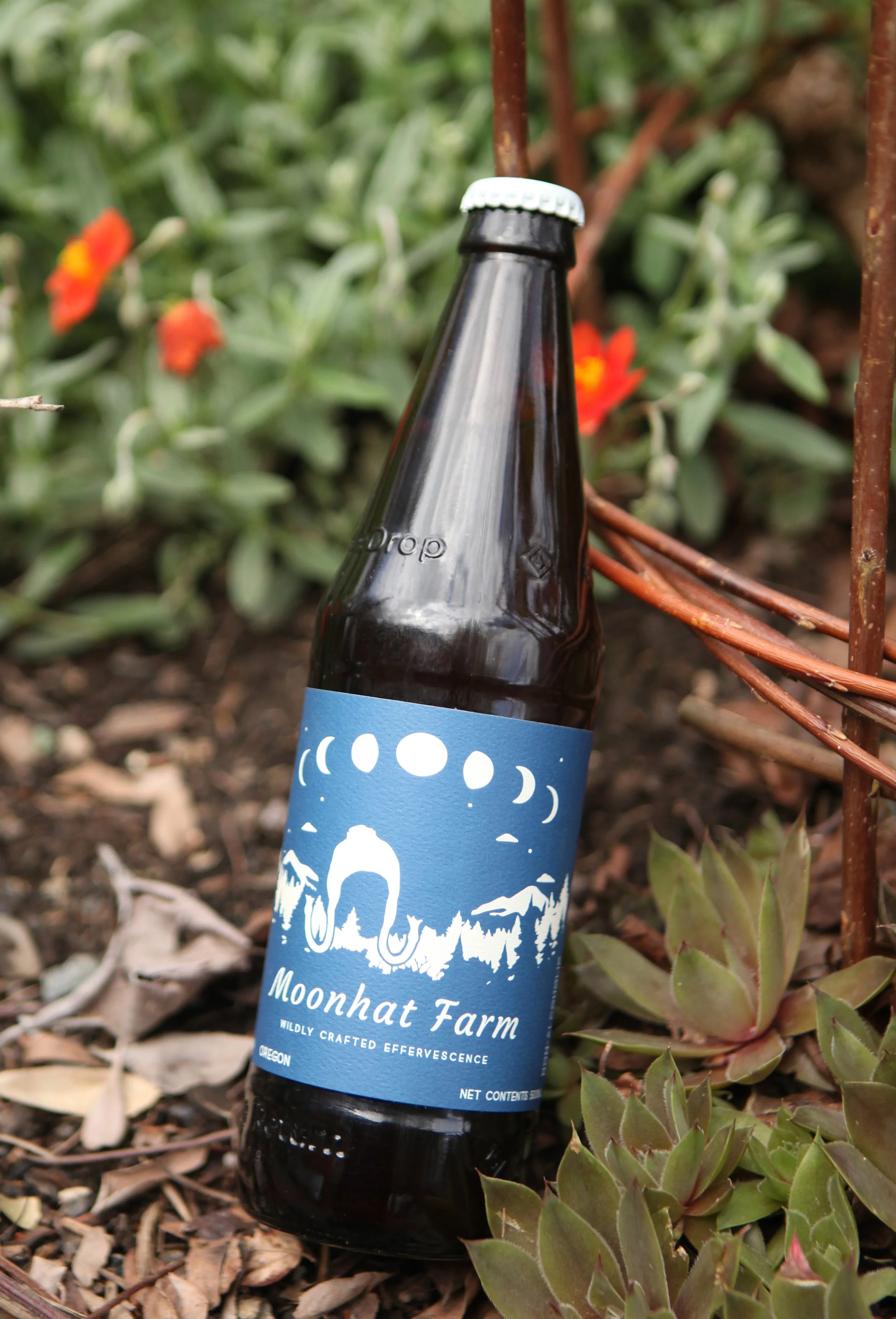bottle2.jpg