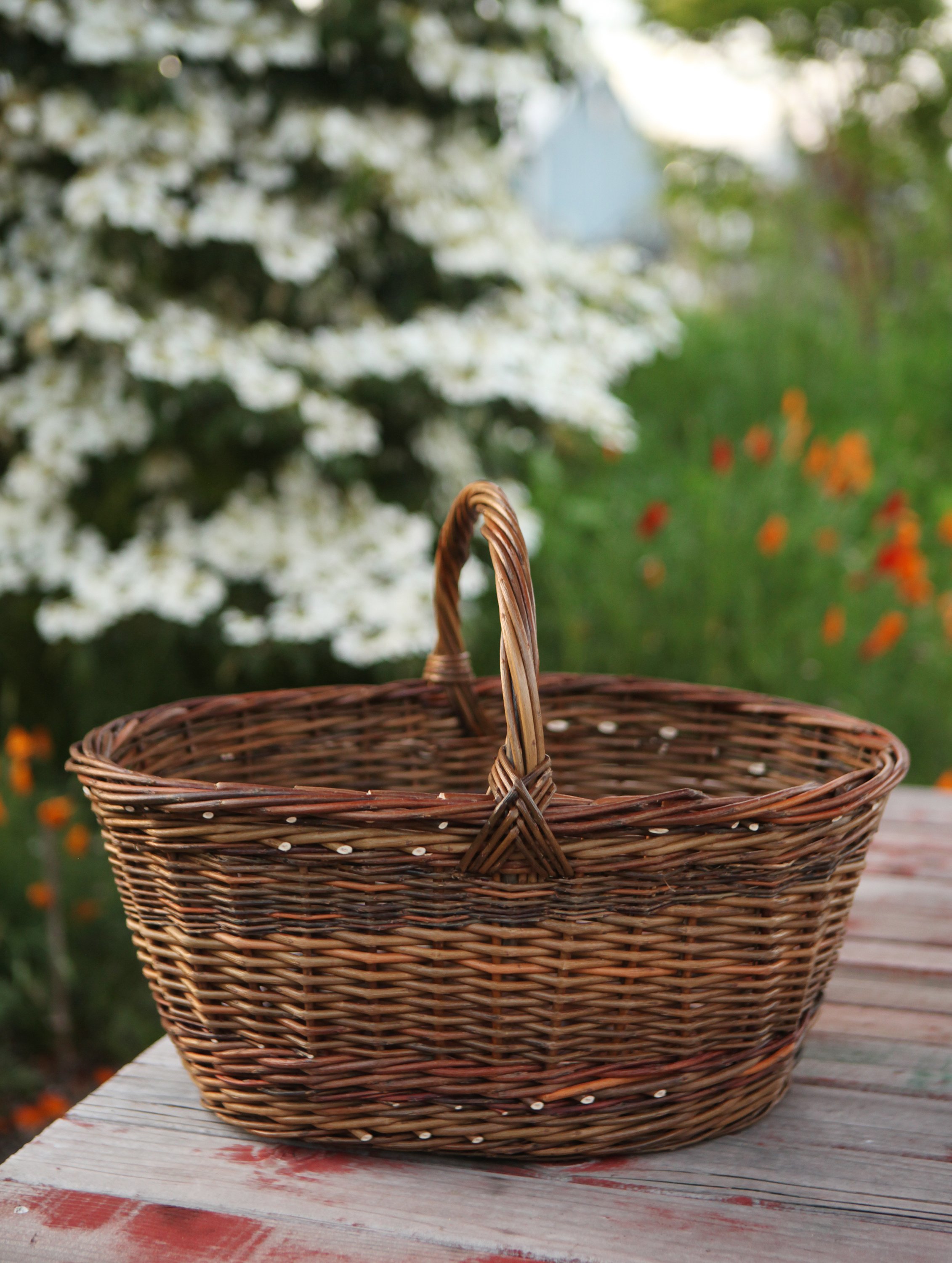 Oval Harvest Basket 023