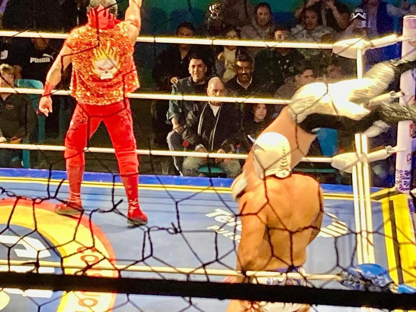Lucha Libre en Mexico!