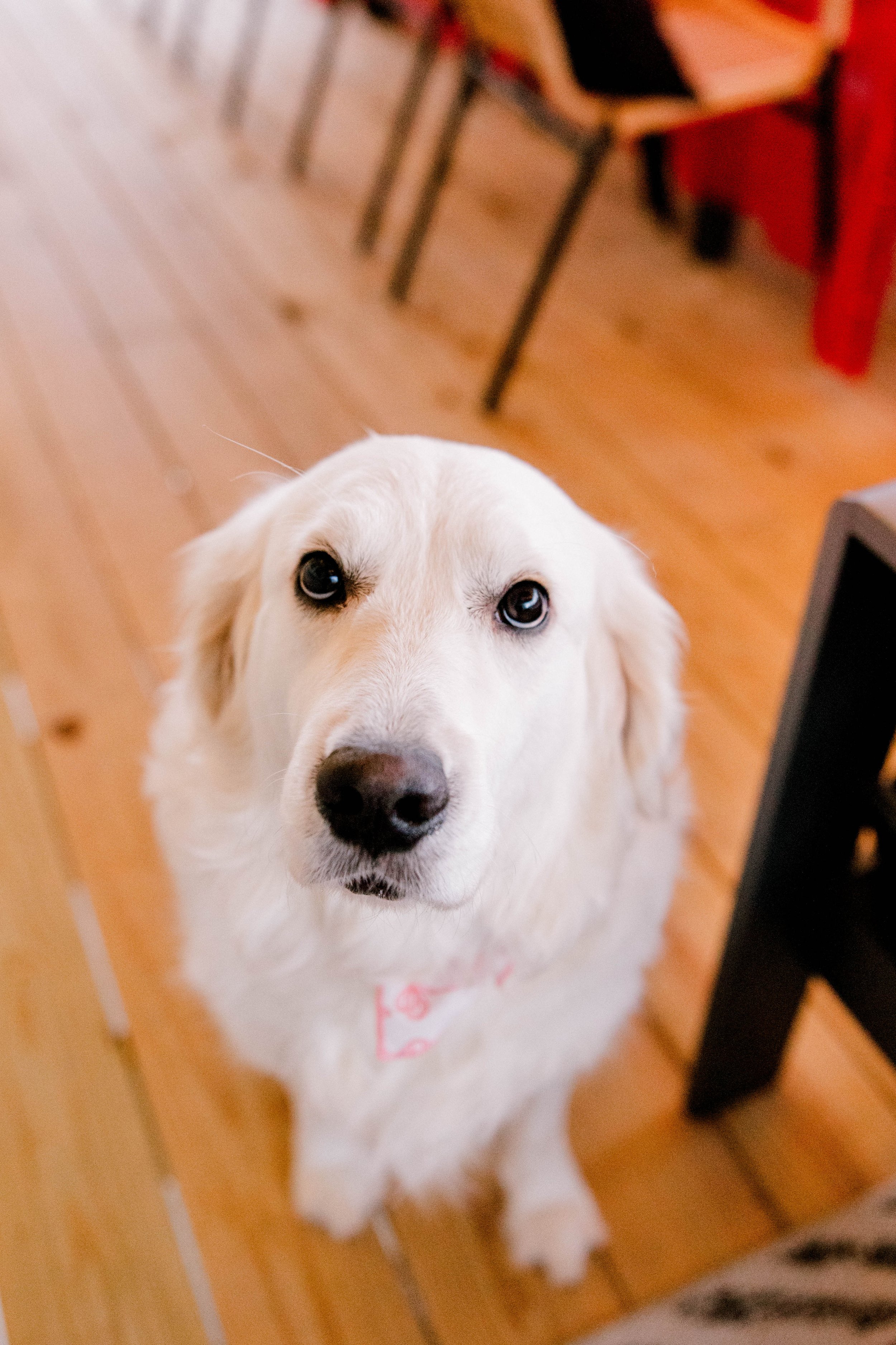 BPBC - 12-19-25-24.jpg