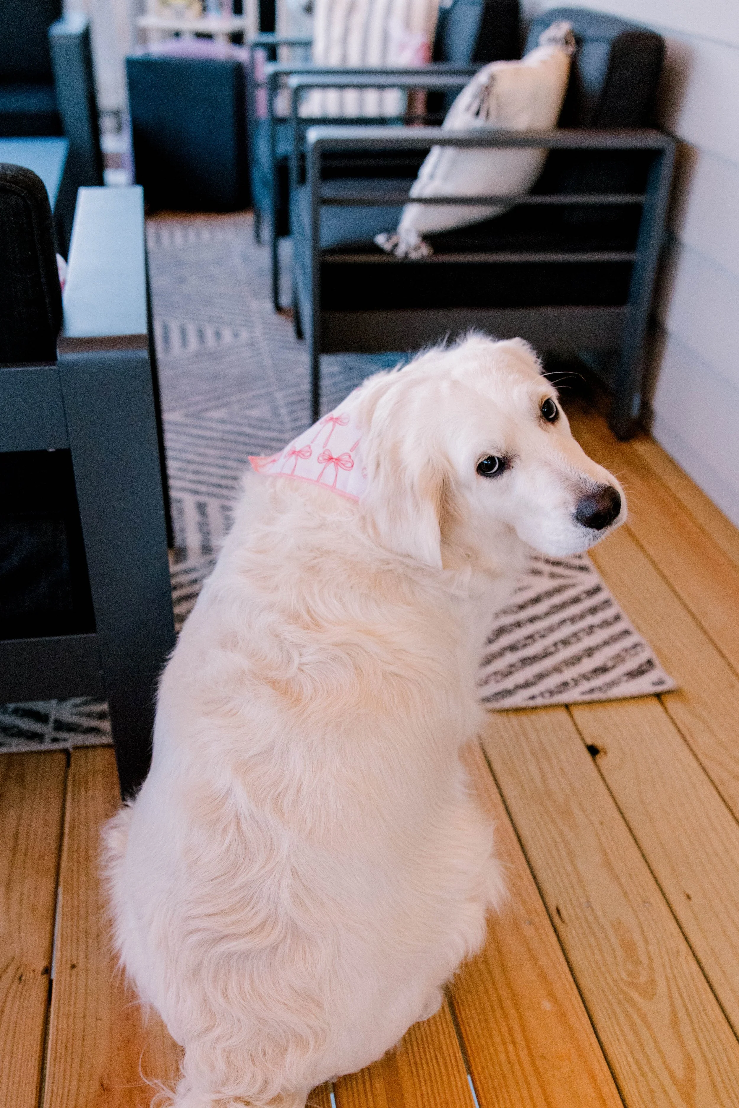 BPBC - 12-19-25-25.jpg