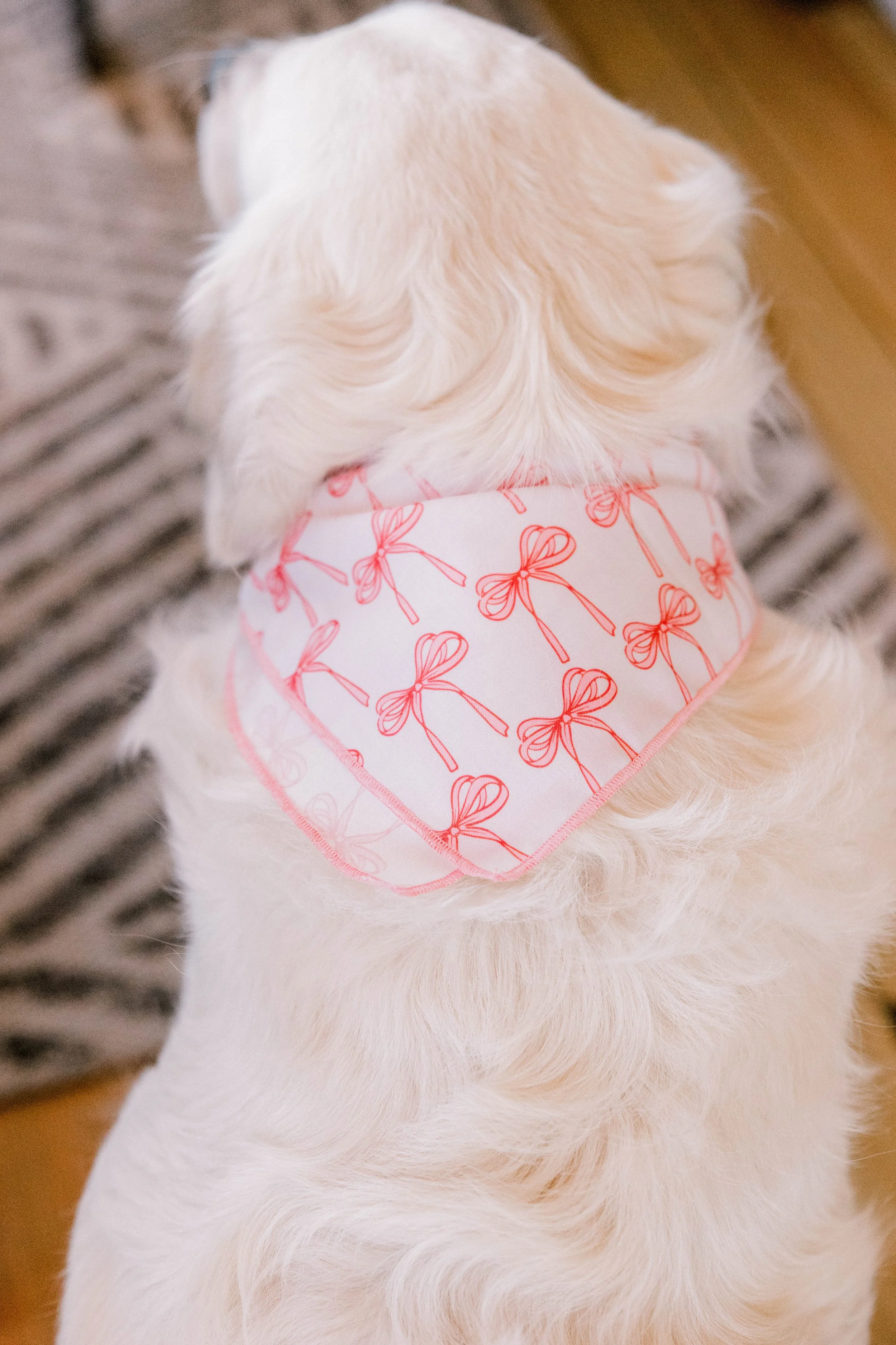 BPBC - 12-19-25-27.jpg