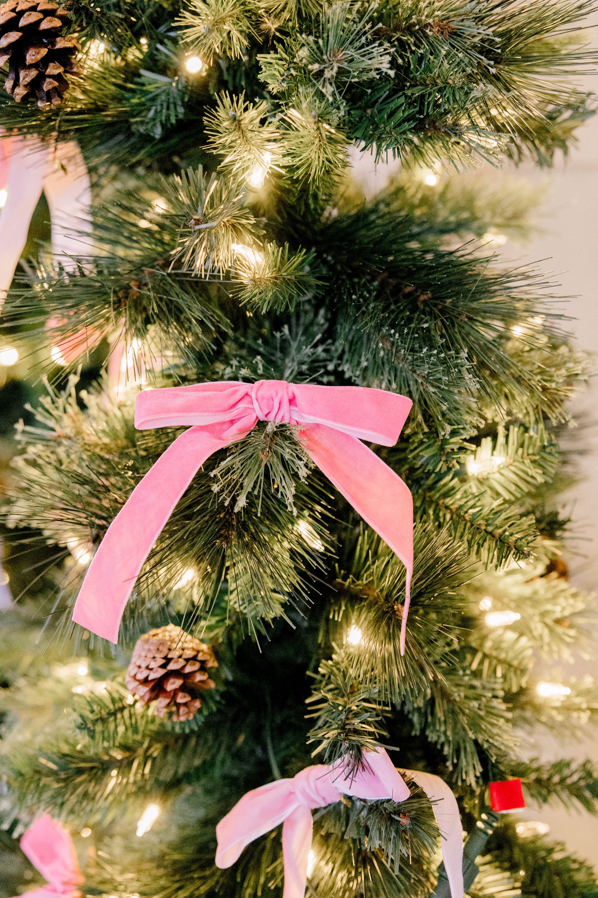 BPBC - 12-19-25-31.jpg