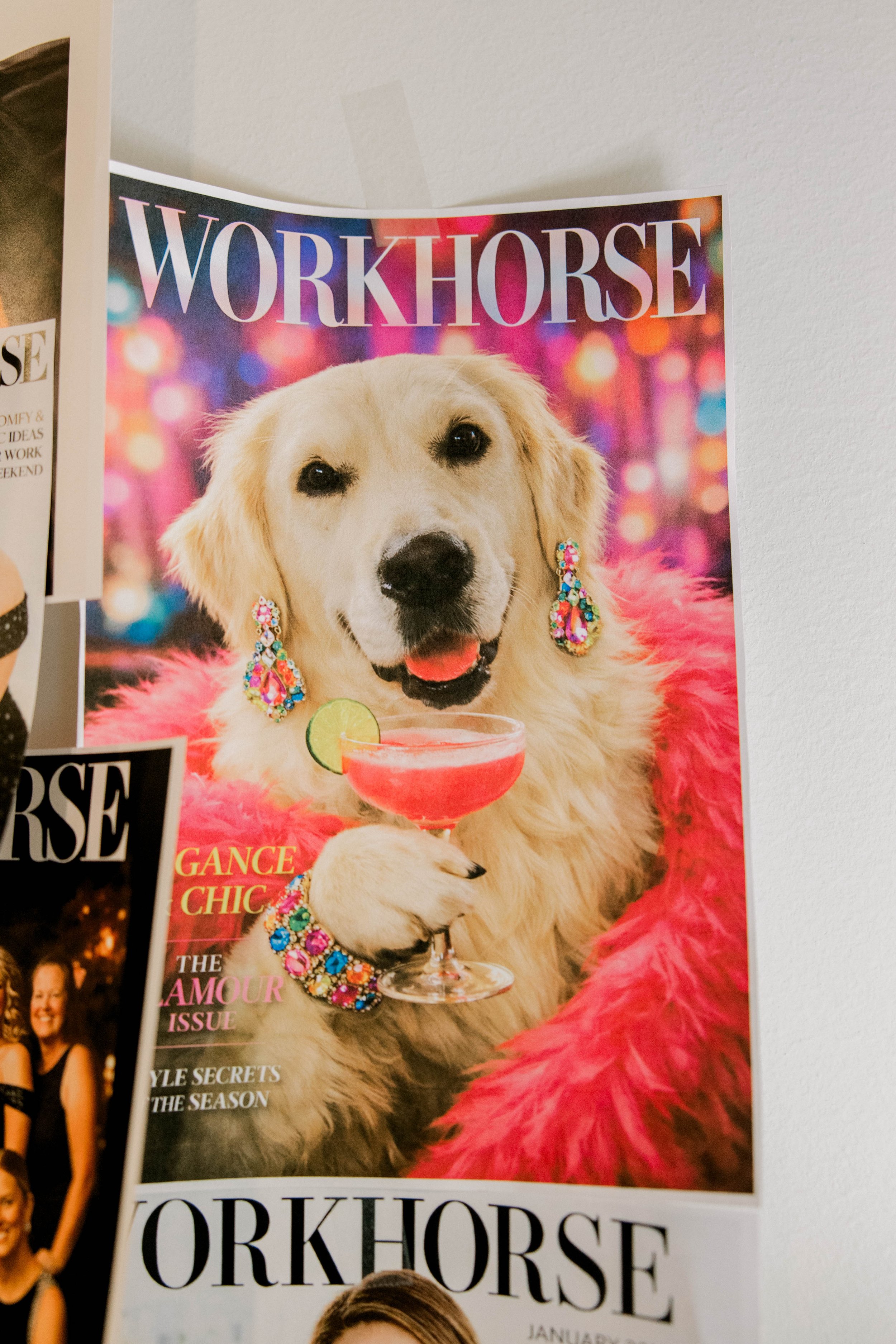 BPBC - 1-18-26-26.jpg