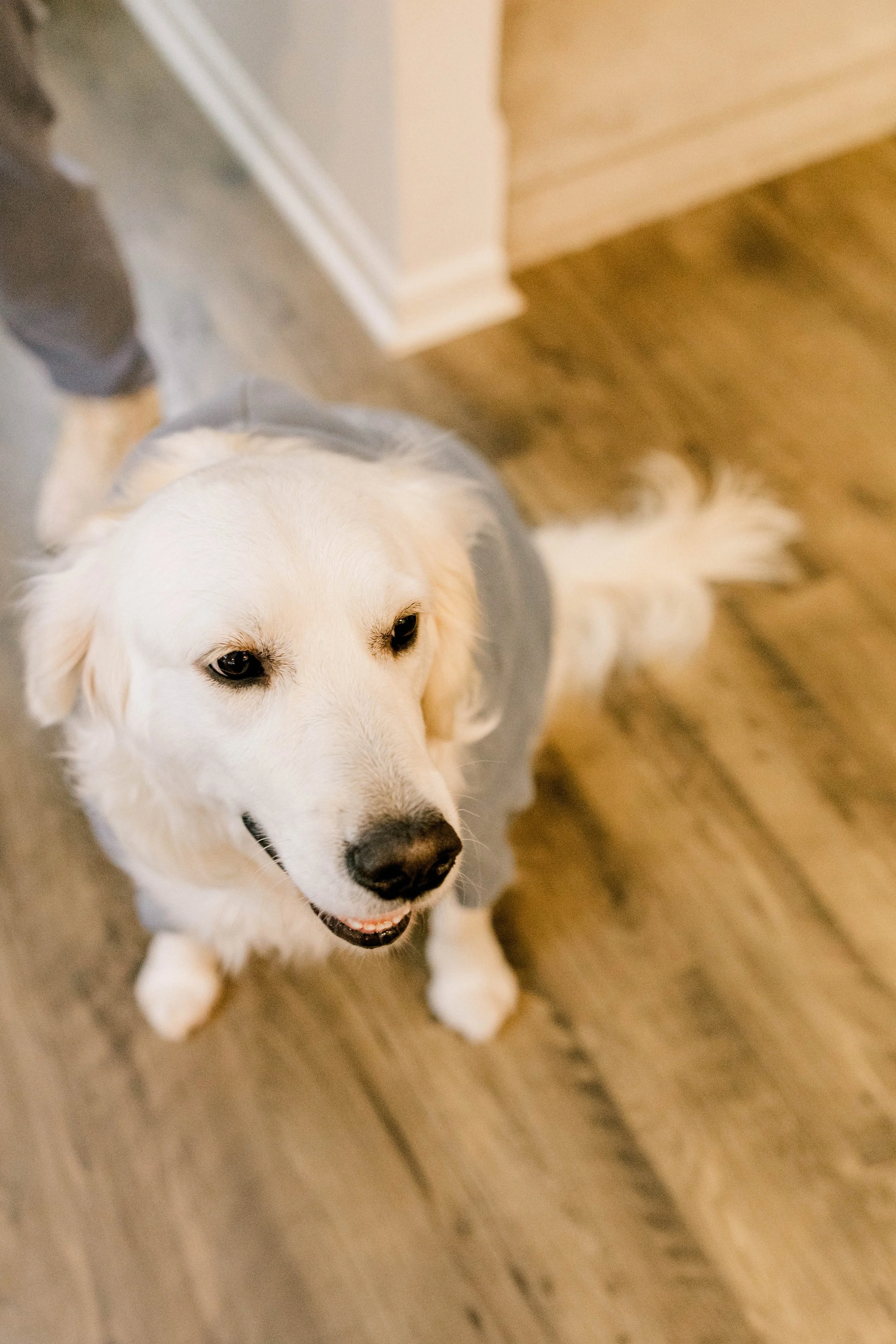 BPBC - 1-18-26-62.jpg