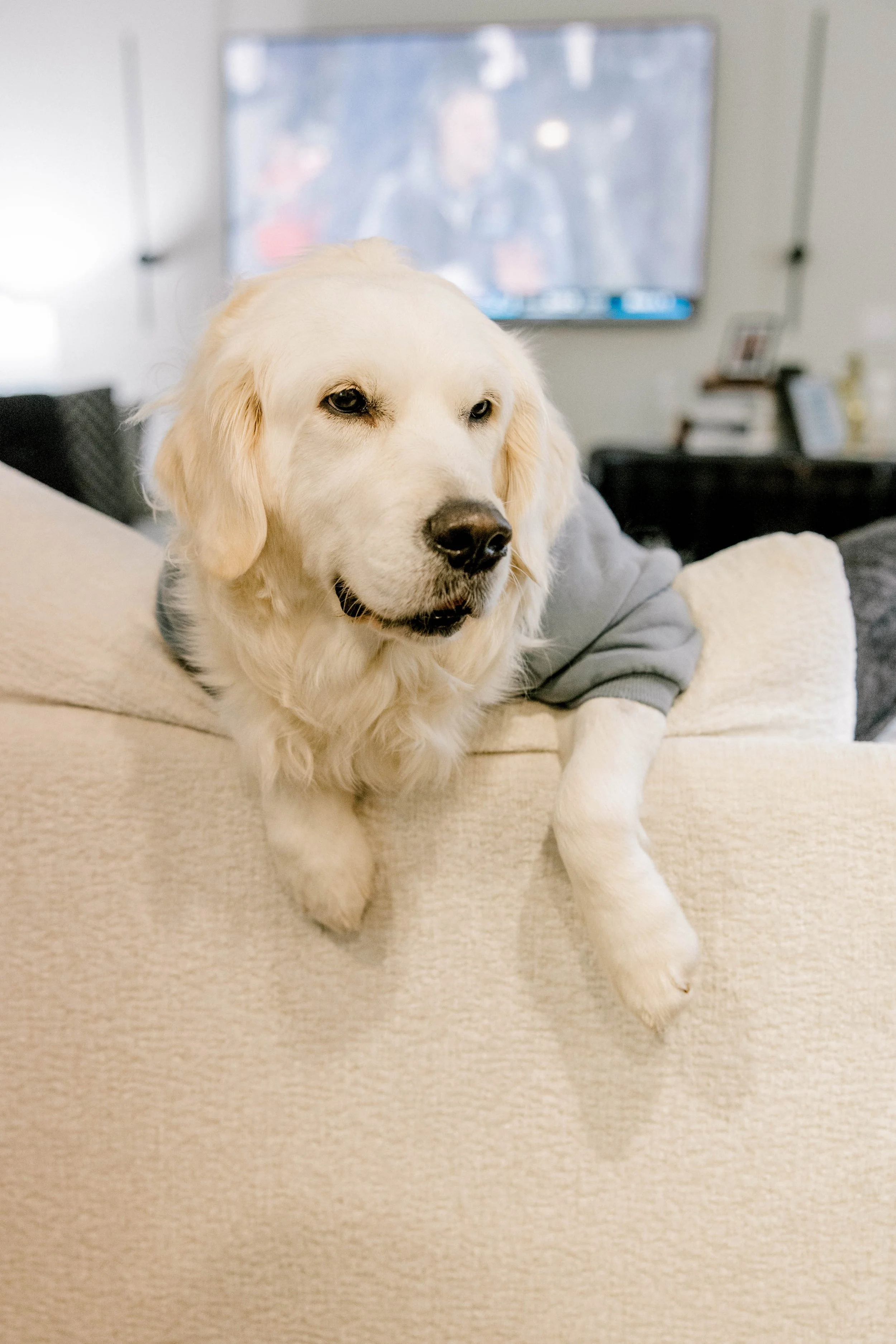 BPBC - 1-18-26-66.jpg