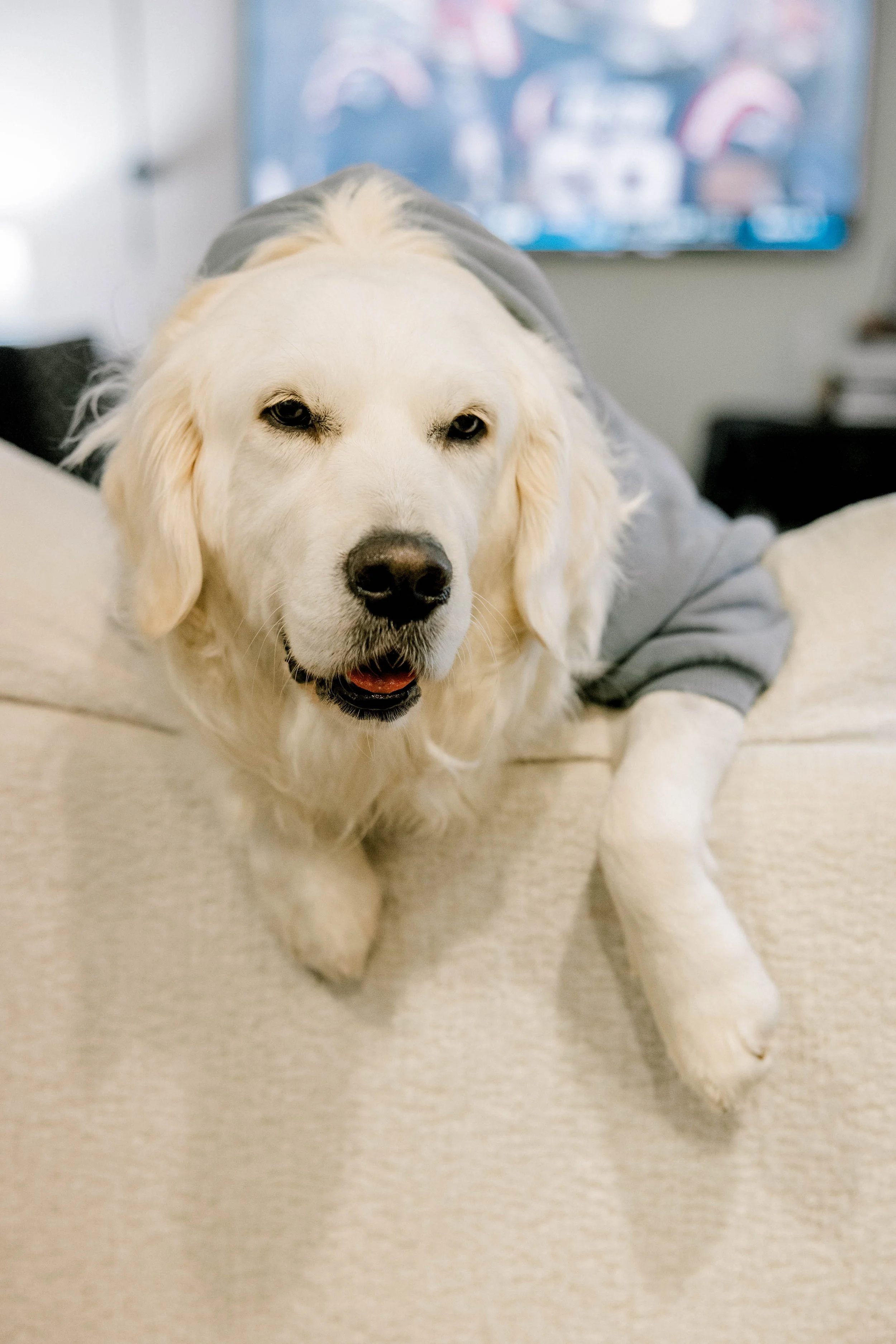 BPBC - 1-18-26-67.jpg