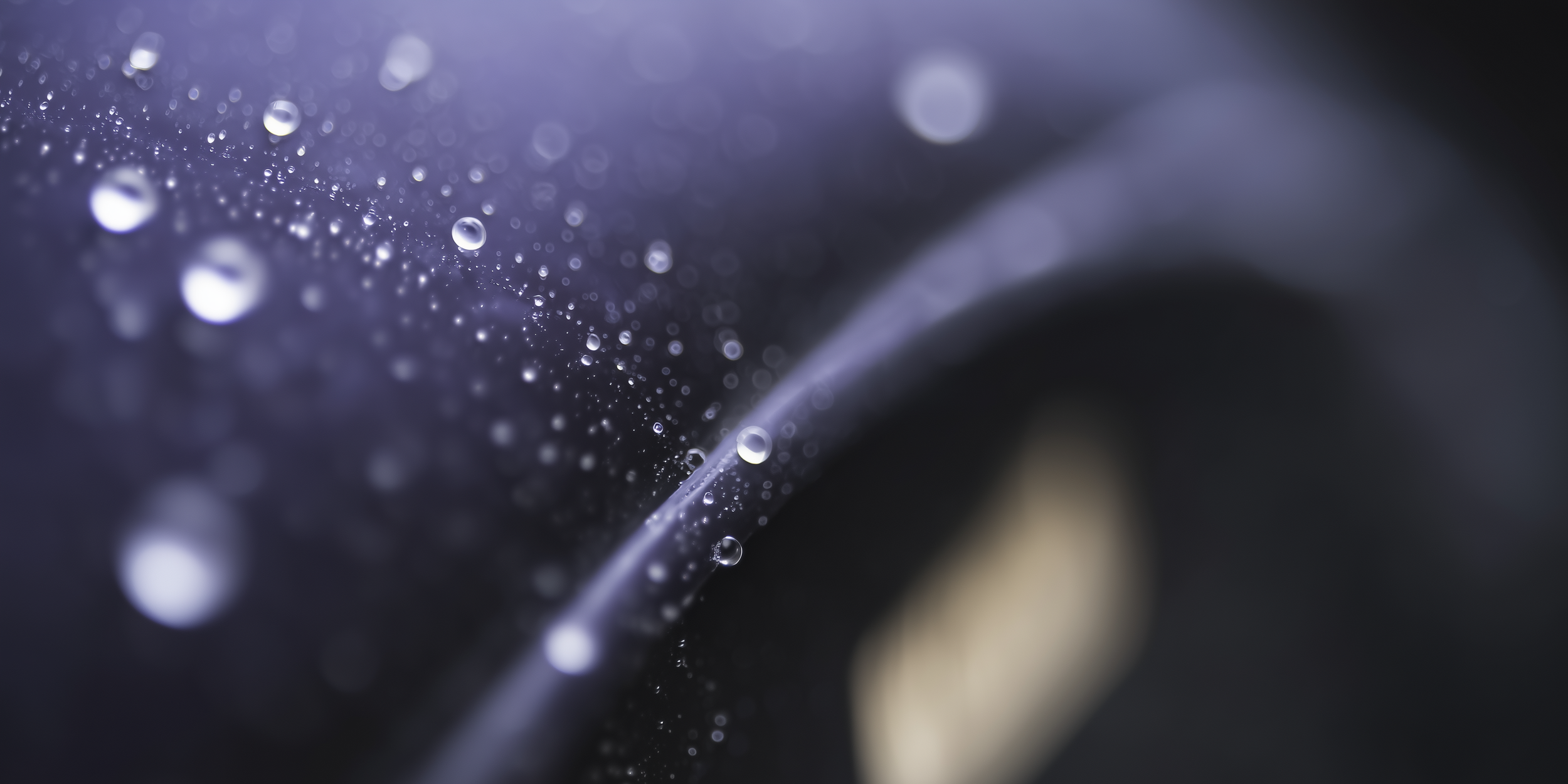 Essential Membership.png