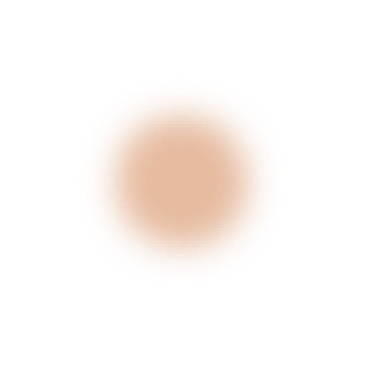 Close-up of a beige, round, flat object on a black background.