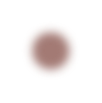 A circular, tan-colored object with a textured surface.