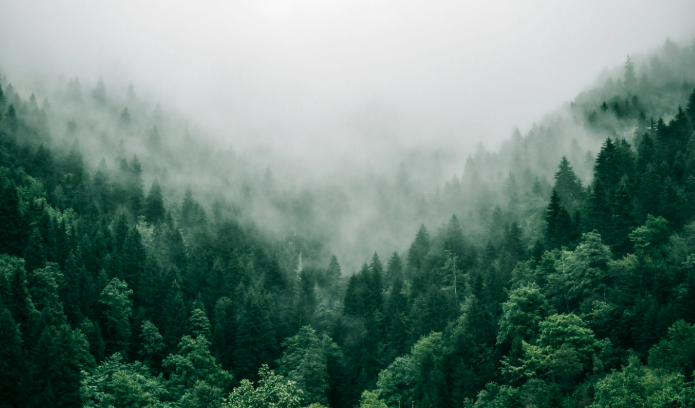 The Innovation behind Modern AI: Large Language Models (LLMs)