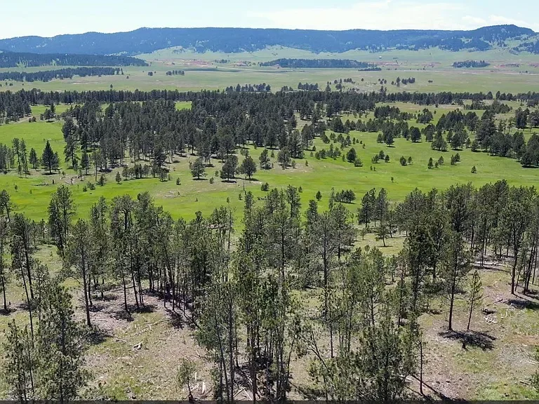 Red Butte Rd - Weston County WY